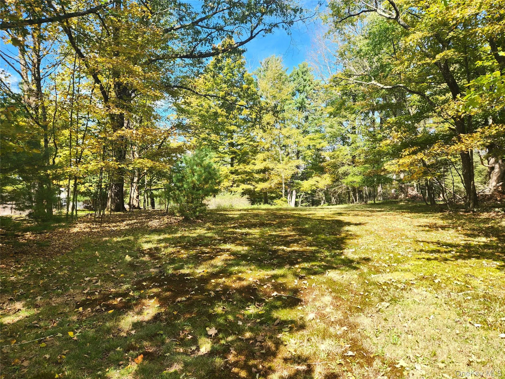 107 Thompson Place, Bethel, NY, 3 Bedrooms Bedrooms, 6 Rooms Rooms,1 BathroomBathrooms,Residential,For Rent,Thompson,0,911124 107 Thompson Place, Bethel, NY, 3 Bedrooms Bedrooms, 6 Rooms Rooms,1 BathroomBathrooms,Residential,For Rent,Thompson,0,911124