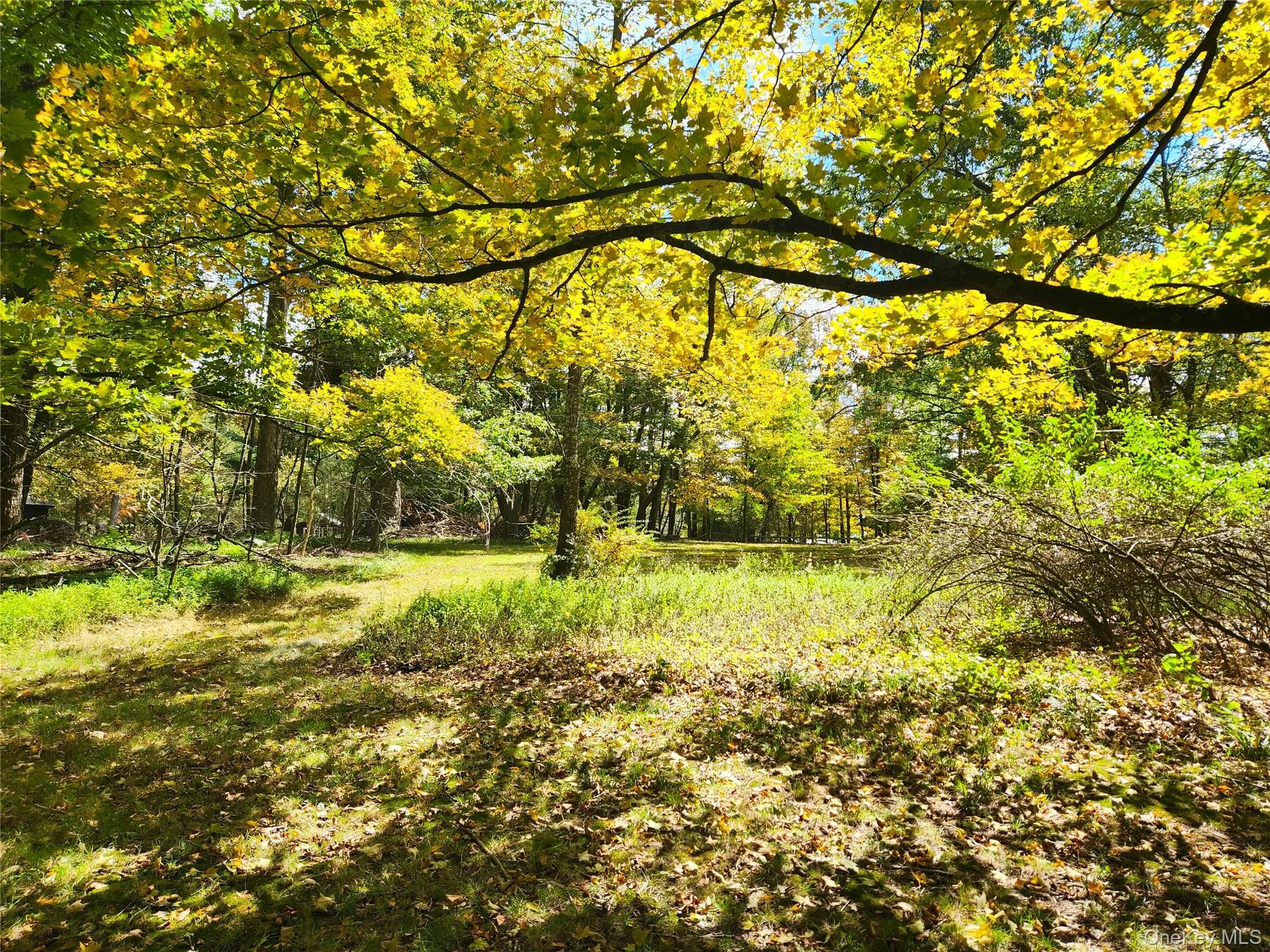 107 Thompson Place, Bethel, NY, 3 Bedrooms Bedrooms, 6 Rooms Rooms,1 BathroomBathrooms,Residential,For Rent,Thompson,0,911124 107 Thompson Place, Bethel, NY, 3 Bedrooms Bedrooms, 6 Rooms Rooms,1 BathroomBathrooms,Residential,For Rent,Thompson,0,911124