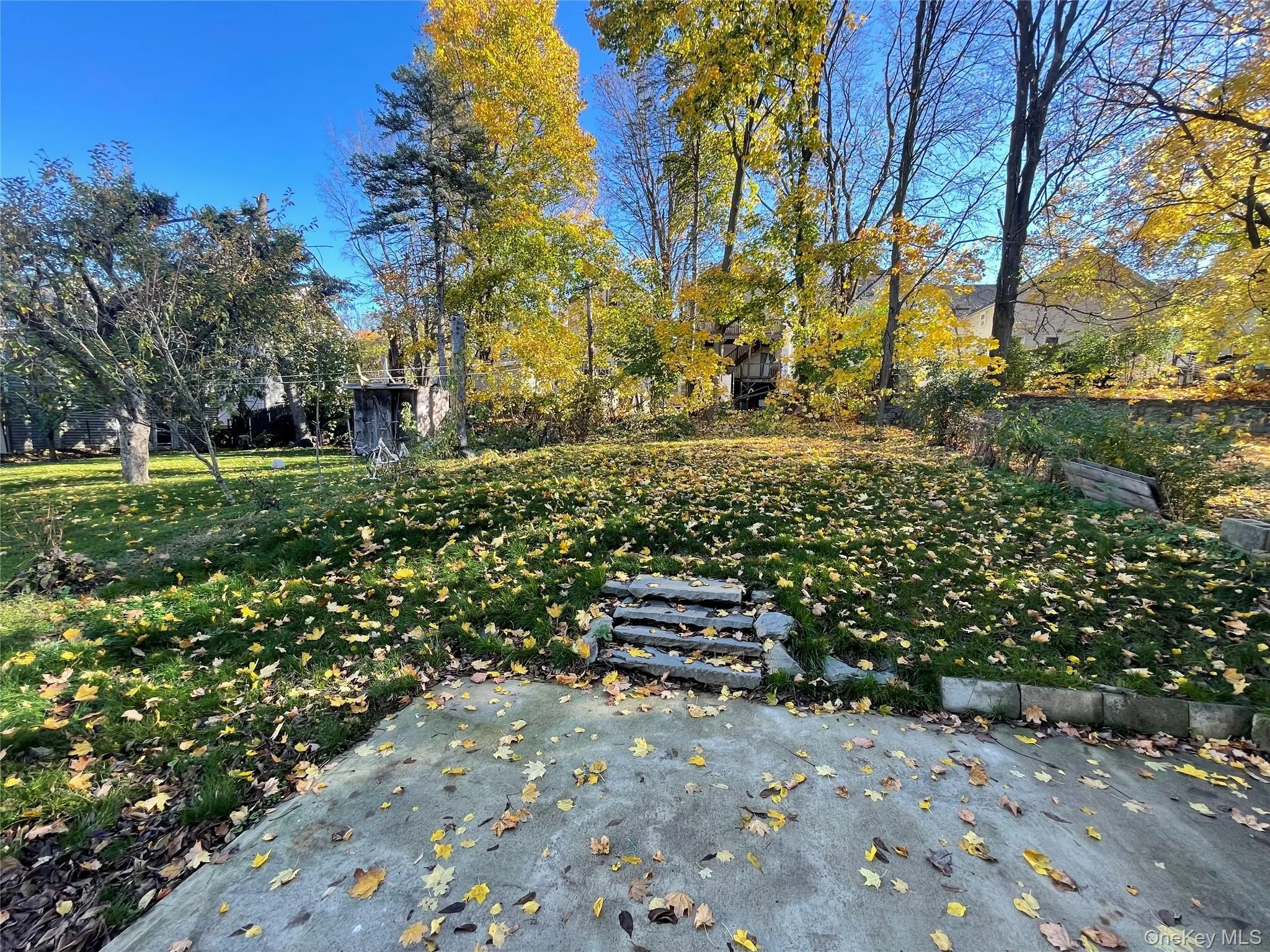 View of yard View of yard