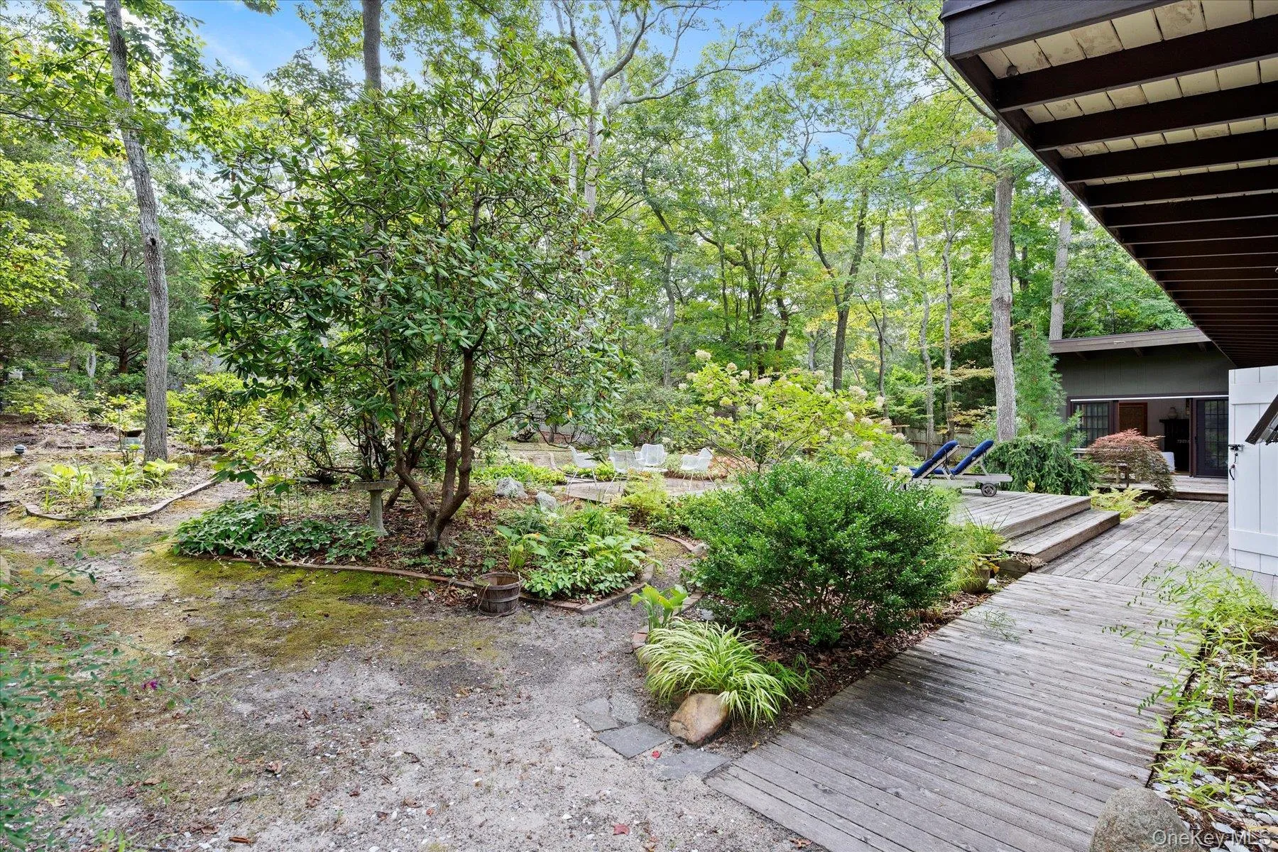 View of yard featuring a deck and view of scattered trees