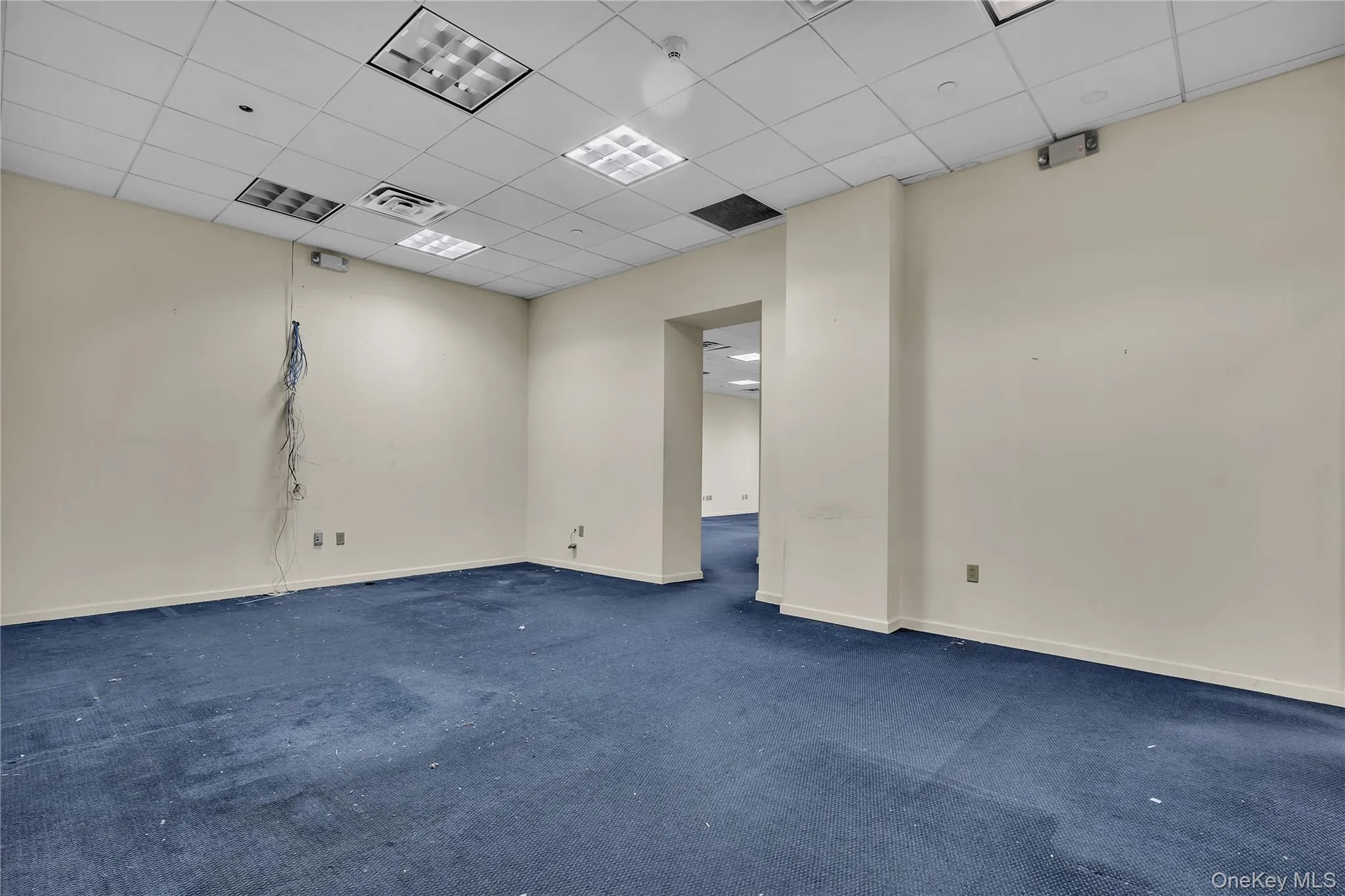 Carpeted empty room featuring a drop ceiling and baseboards Carpeted empty room featuring a drop ceiling and baseboards