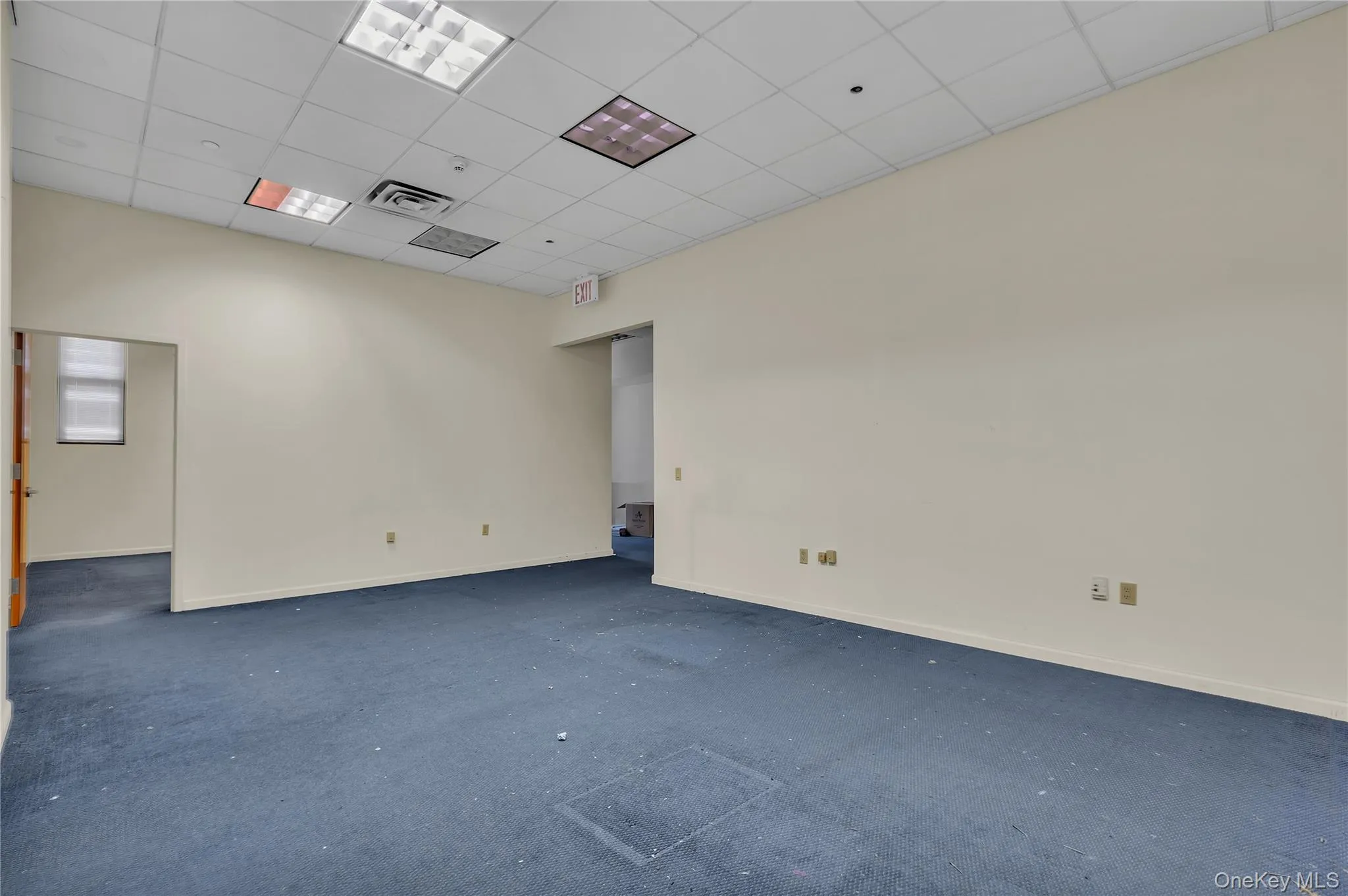 Carpeted empty room featuring a paneled ceiling and baseboards Carpeted empty room featuring a paneled ceiling and baseboards