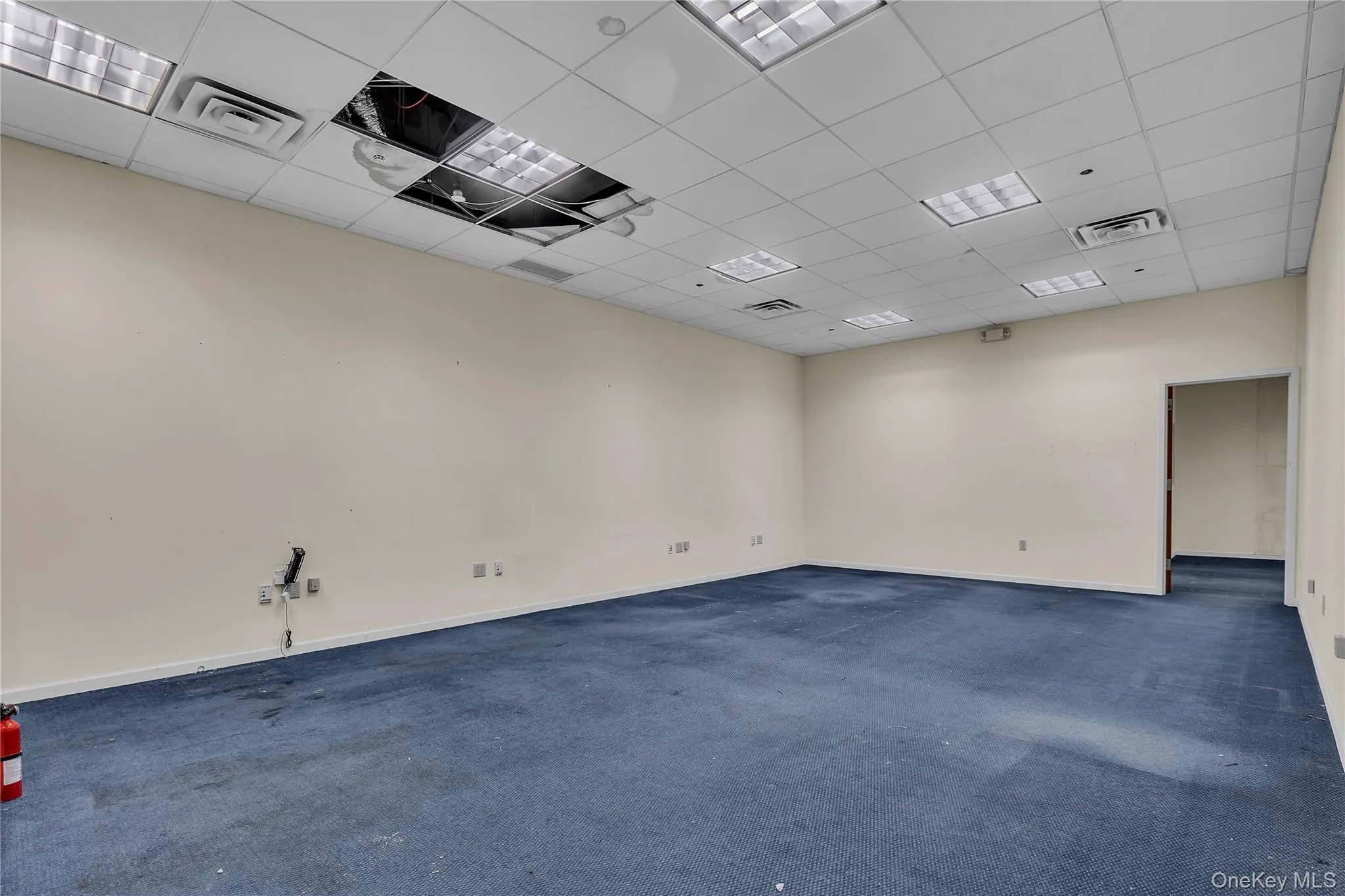 Carpeted spare room featuring a paneled ceiling and baseboards Carpeted spare room featuring a paneled ceiling and baseboards