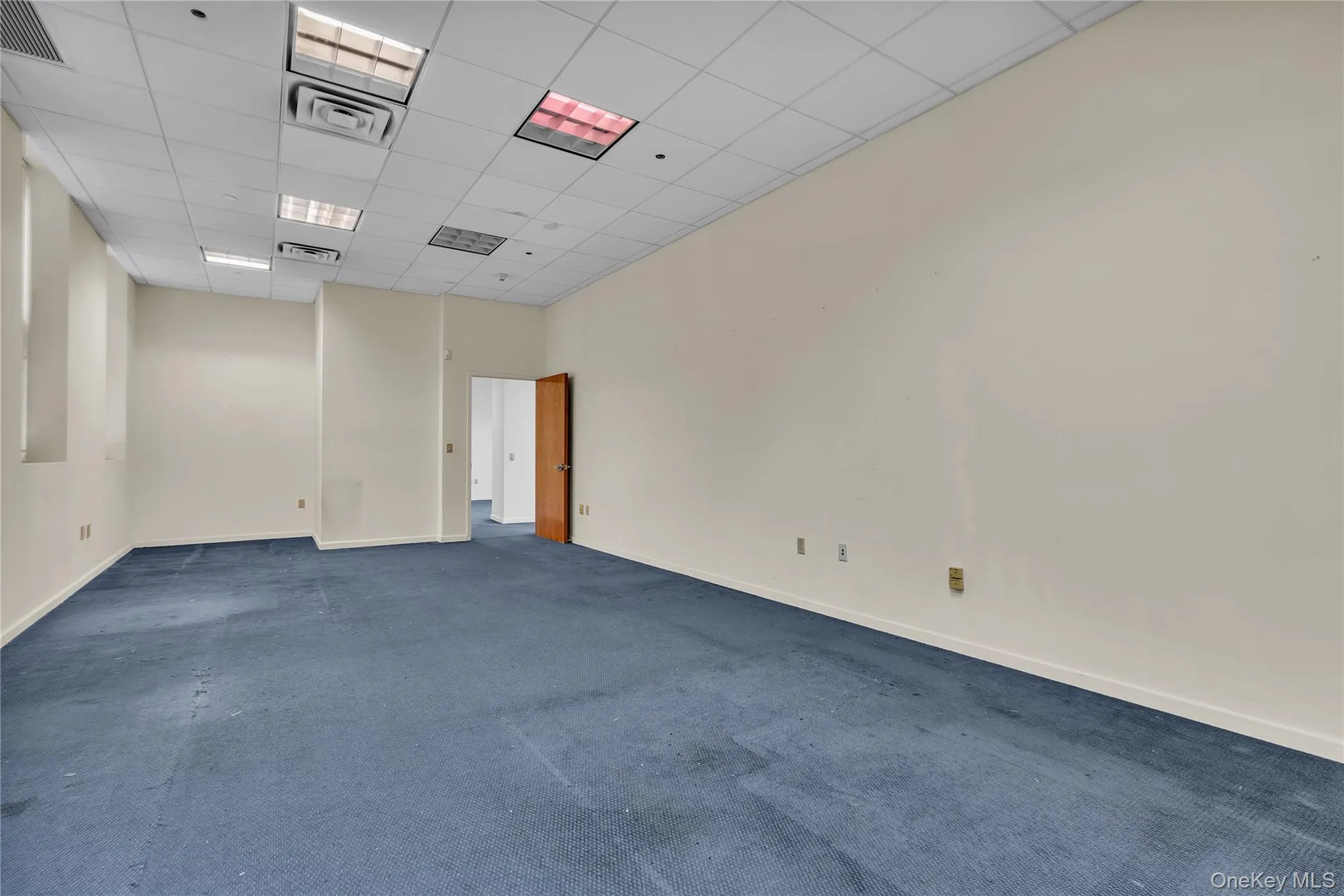 Carpeted spare room with a drop ceiling and baseboards Carpeted spare room with a drop ceiling and baseboards