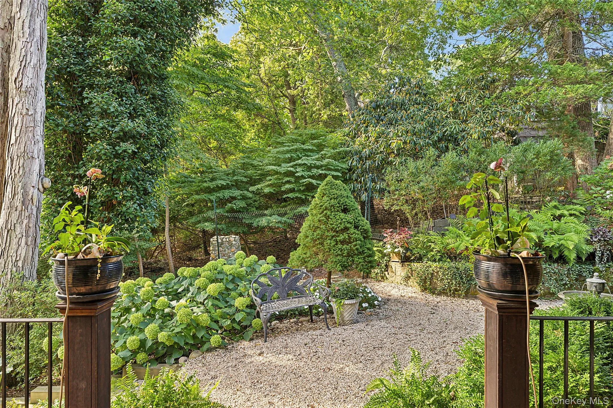 View of yard View of yard