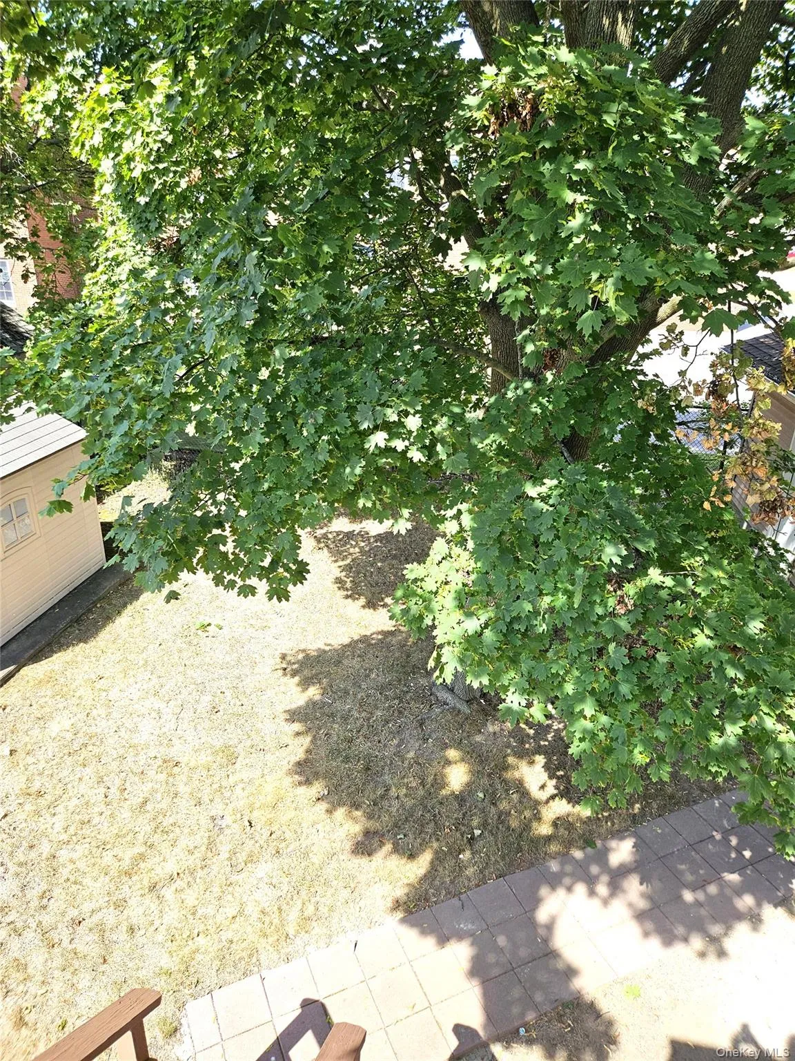 View of yard View of yard