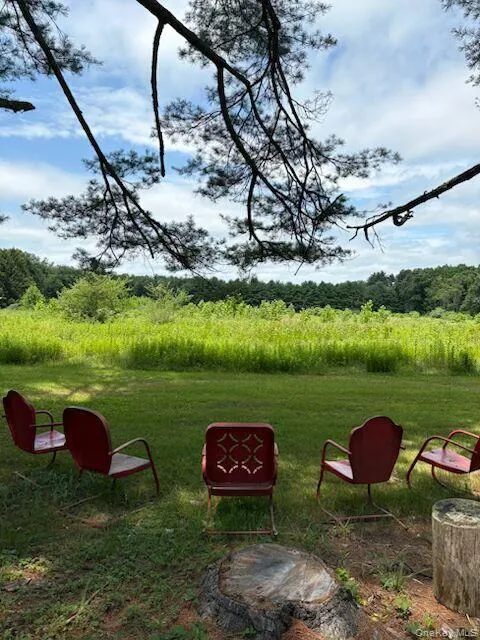View of 11.6 acres from gathering spot to visit and enjoy peace and quiet View of 11.6 acres from gathering spot to visit and enjoy peace and quiet