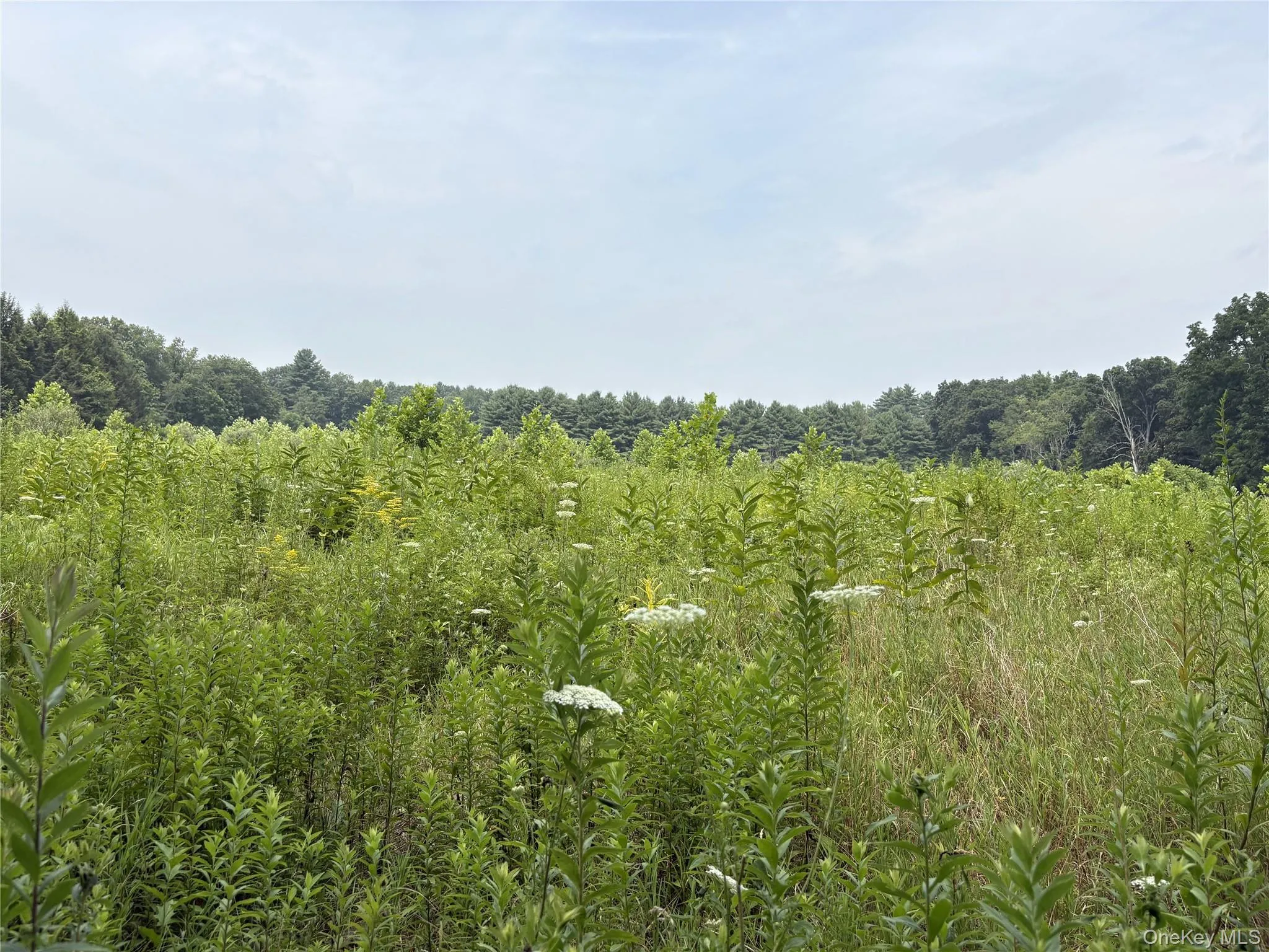 11 acre included 11 acre included