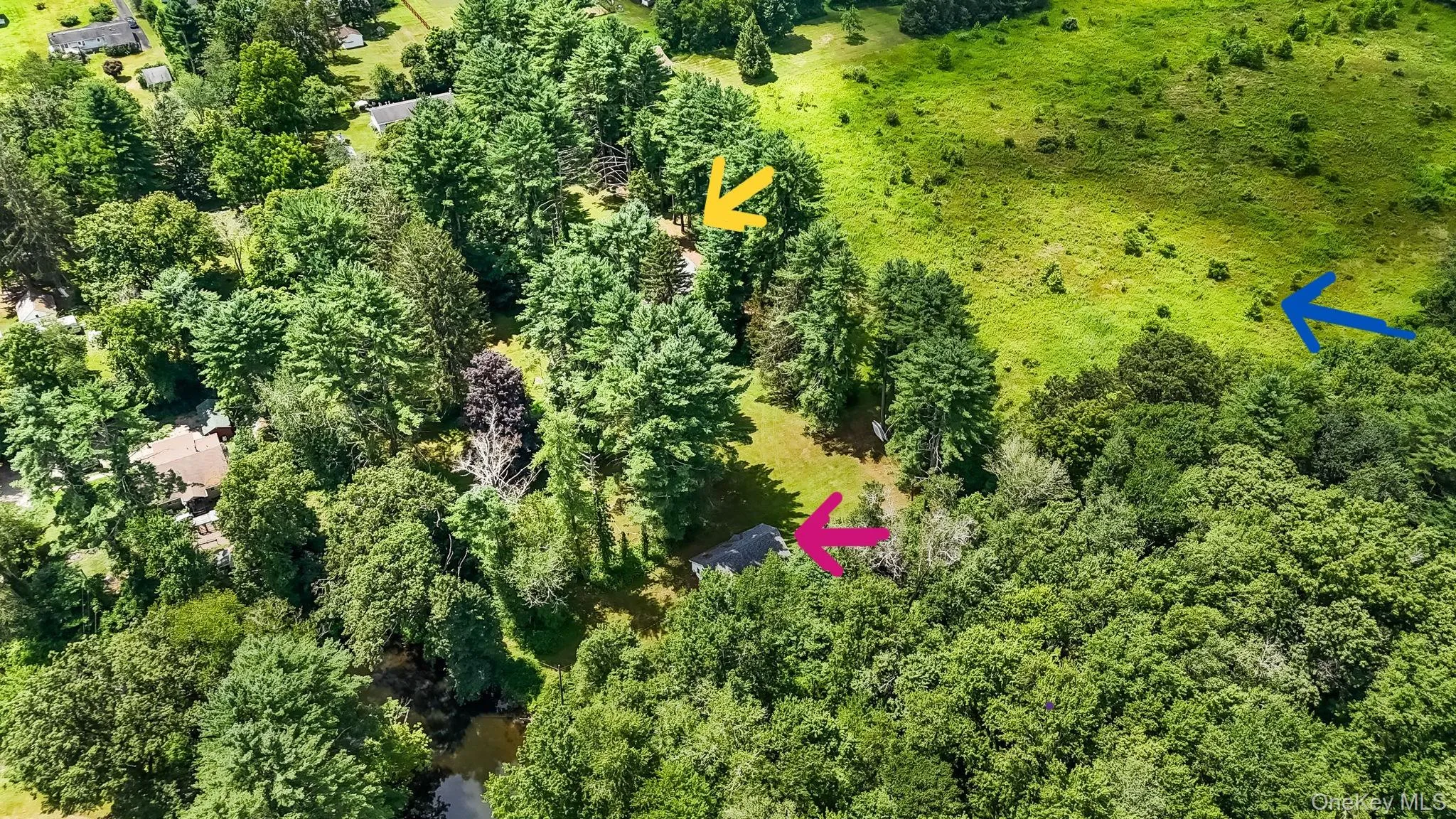 Yellow area Main House, Pink Arrow guest house and blue arrow 11.6 Acres being sold together. Yellow area Main House, Pink Arrow guest house and blue arrow 11.6 Acres being sold together.