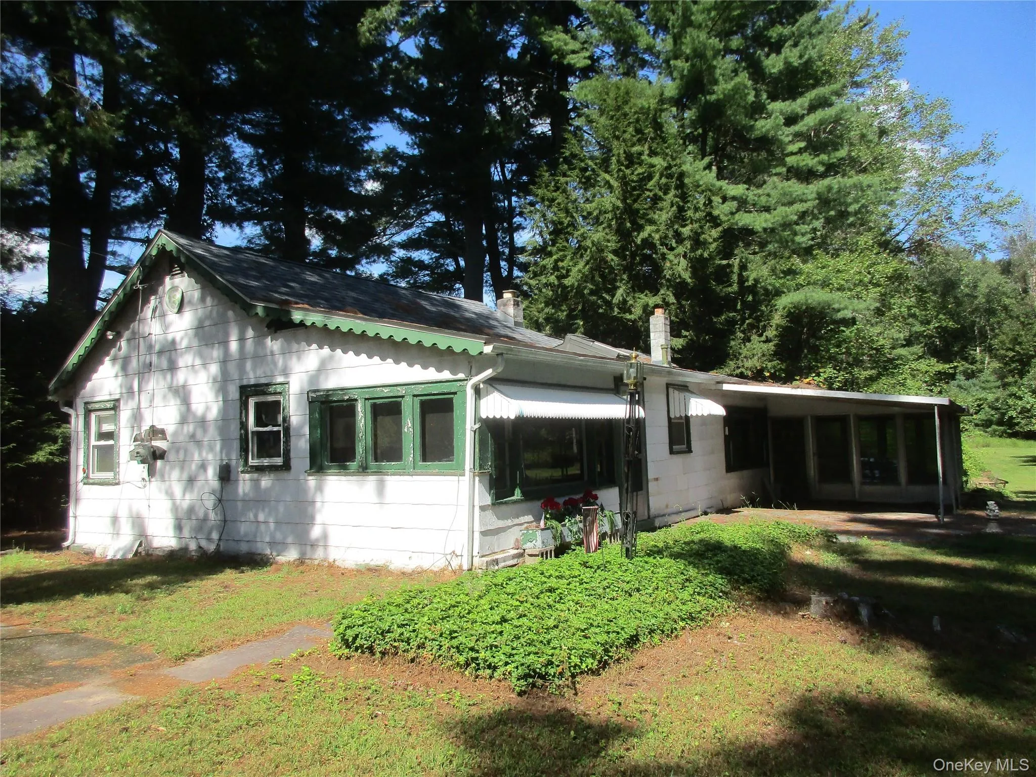 Side and back lawn to entrance door. Side and back lawn to entrance door.