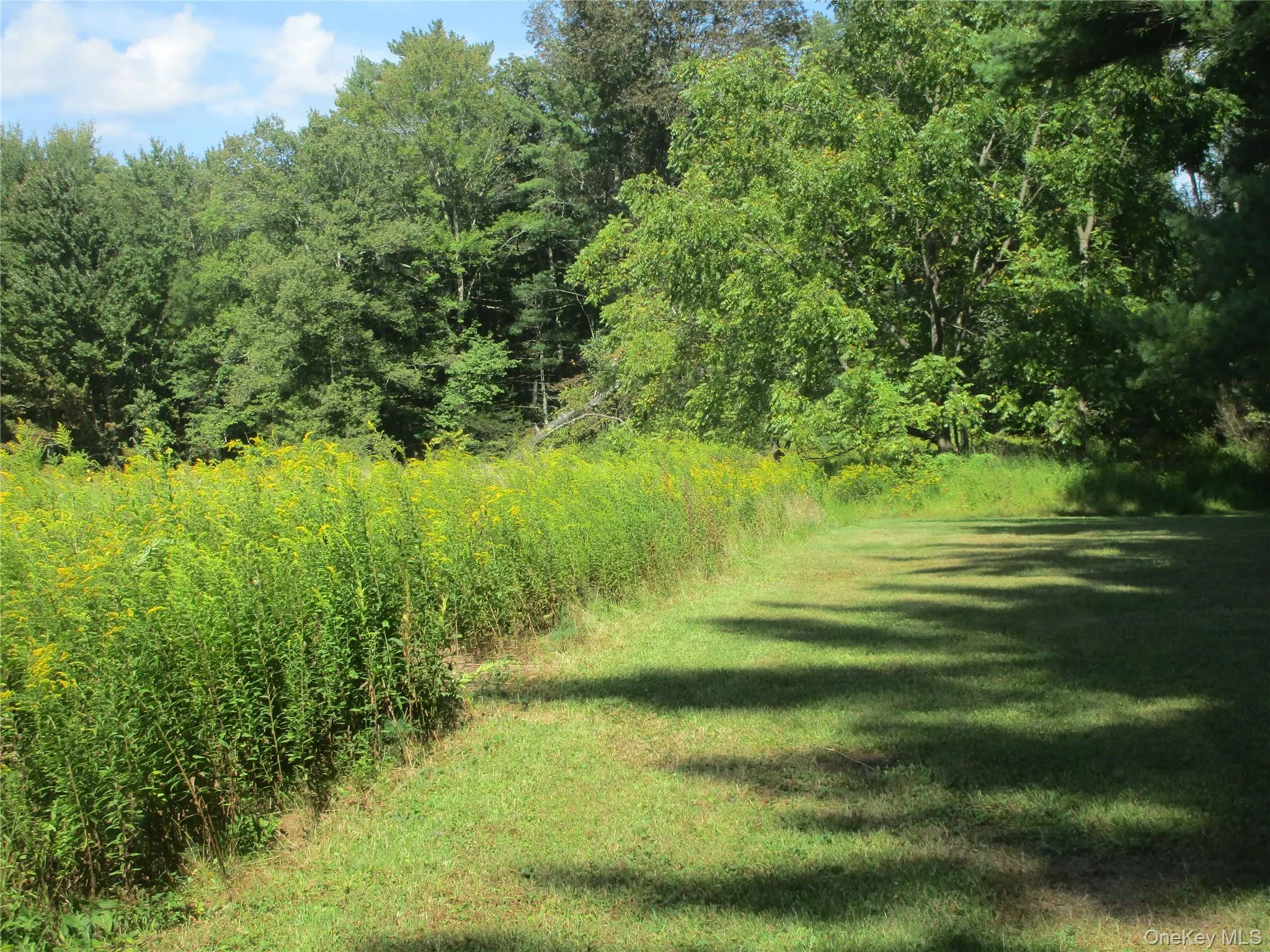 view of 11.6 acres being included view of 11.6 acres being included
