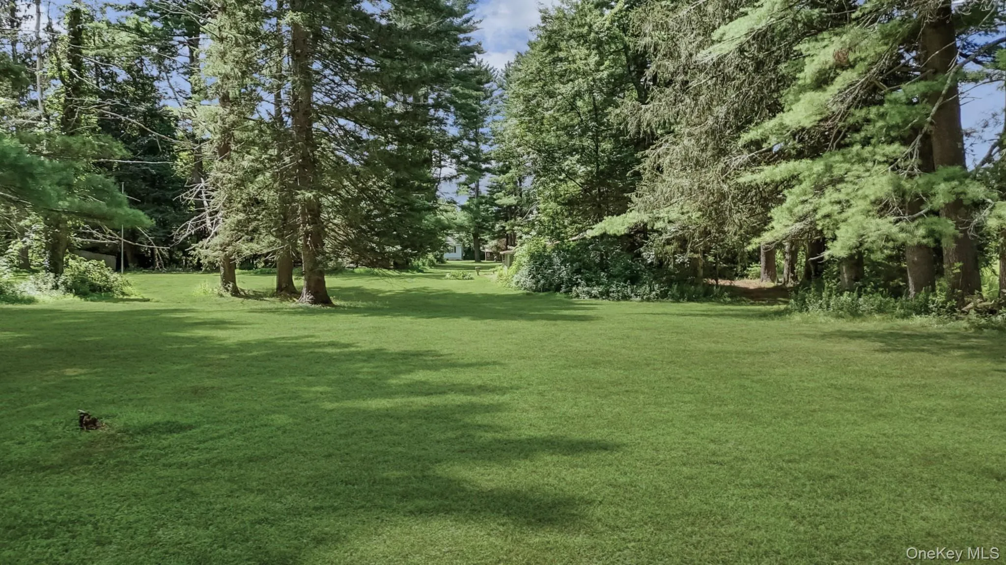 View of green lawn with view of lightly treed area nice shade toward Main House View of green lawn with view of lightly treed area nice shade toward Main House