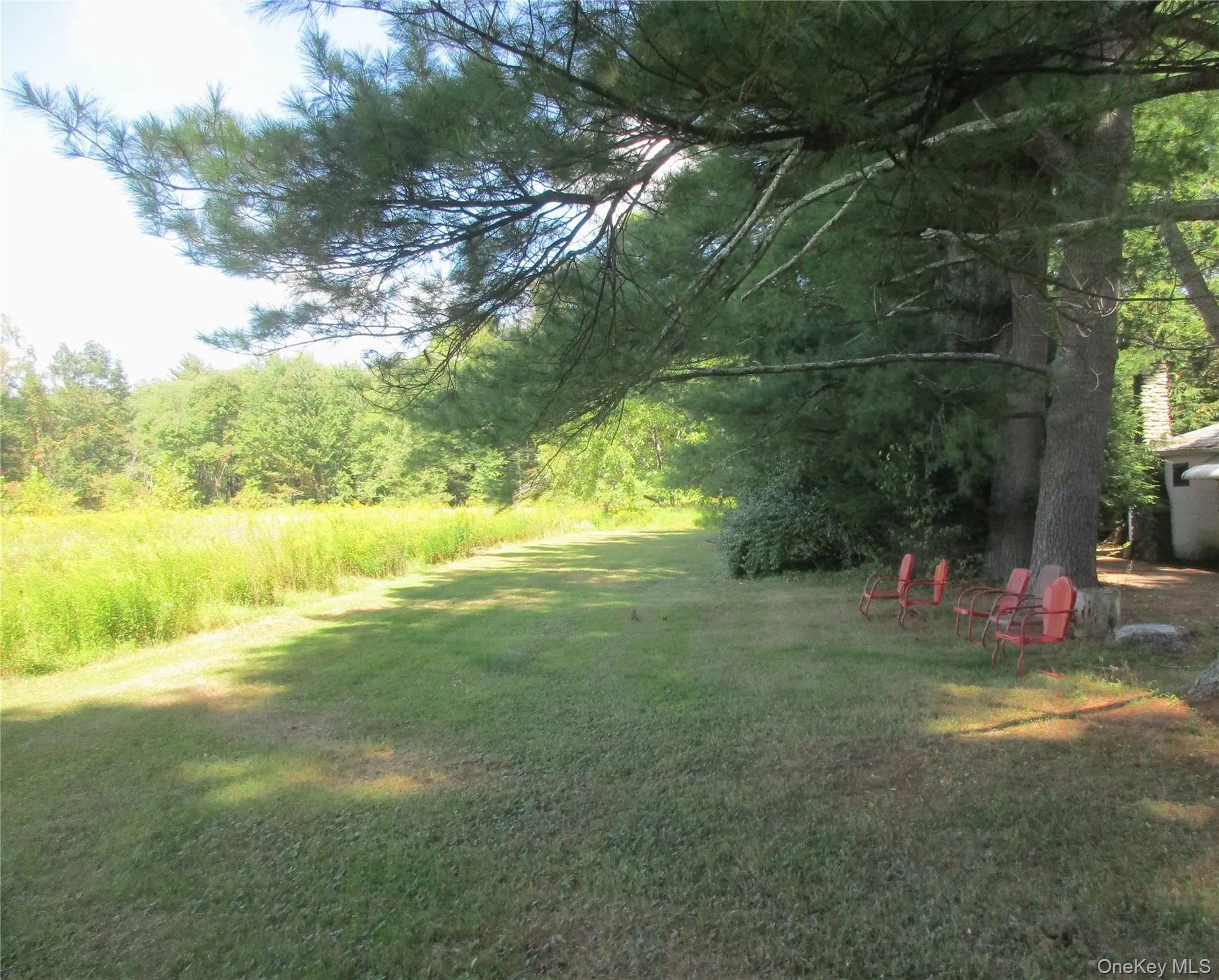 Field showing Main House visible in background Field showing Main House visible in background