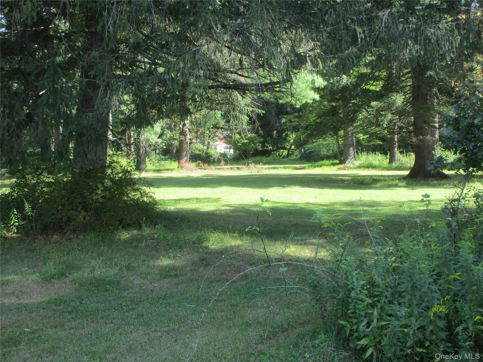 View of green lawnbetween houses View of green lawnbetween houses