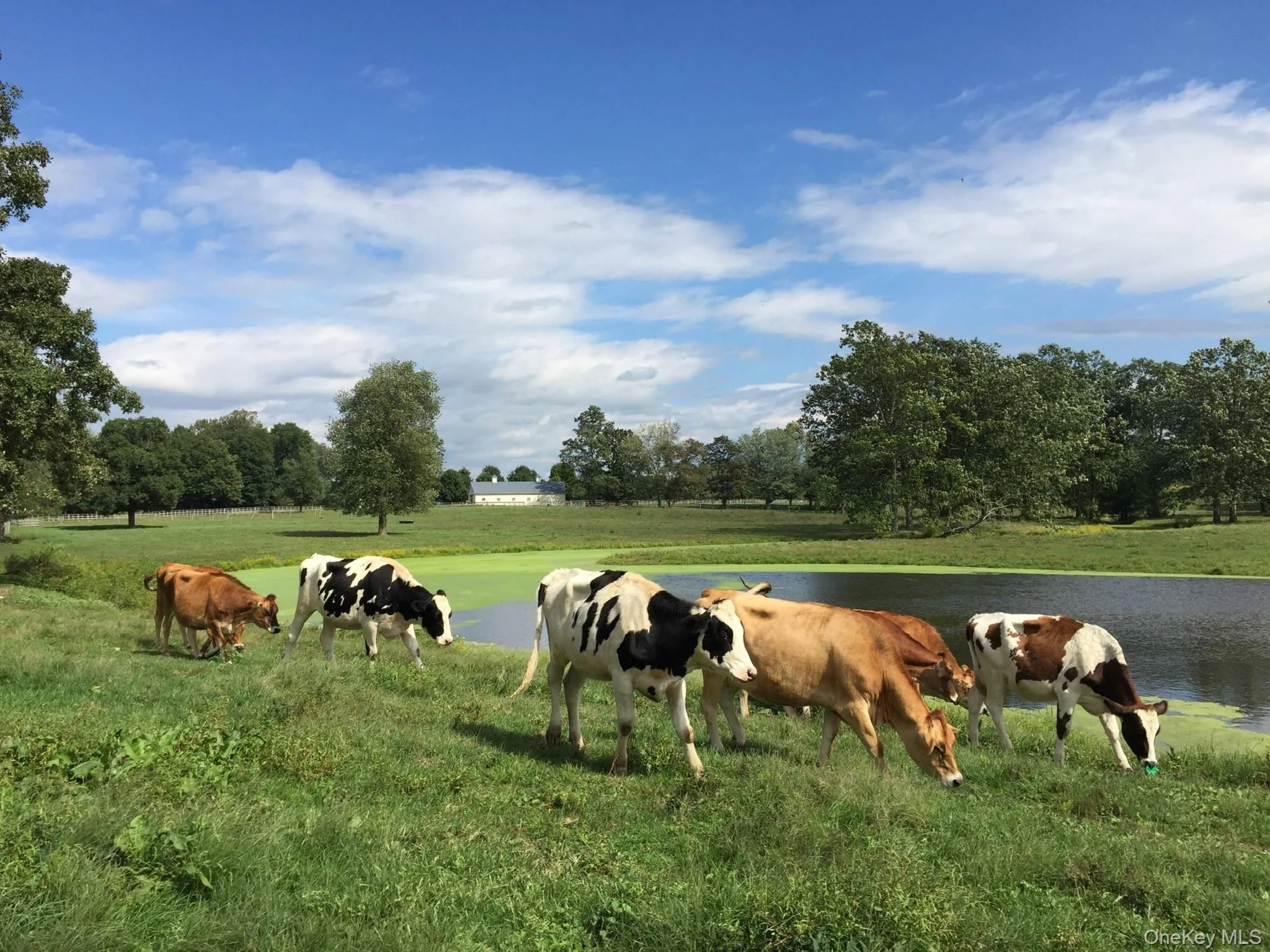 Stable with a view of rural / pastoral area Stable with a view of rural / pastoral area