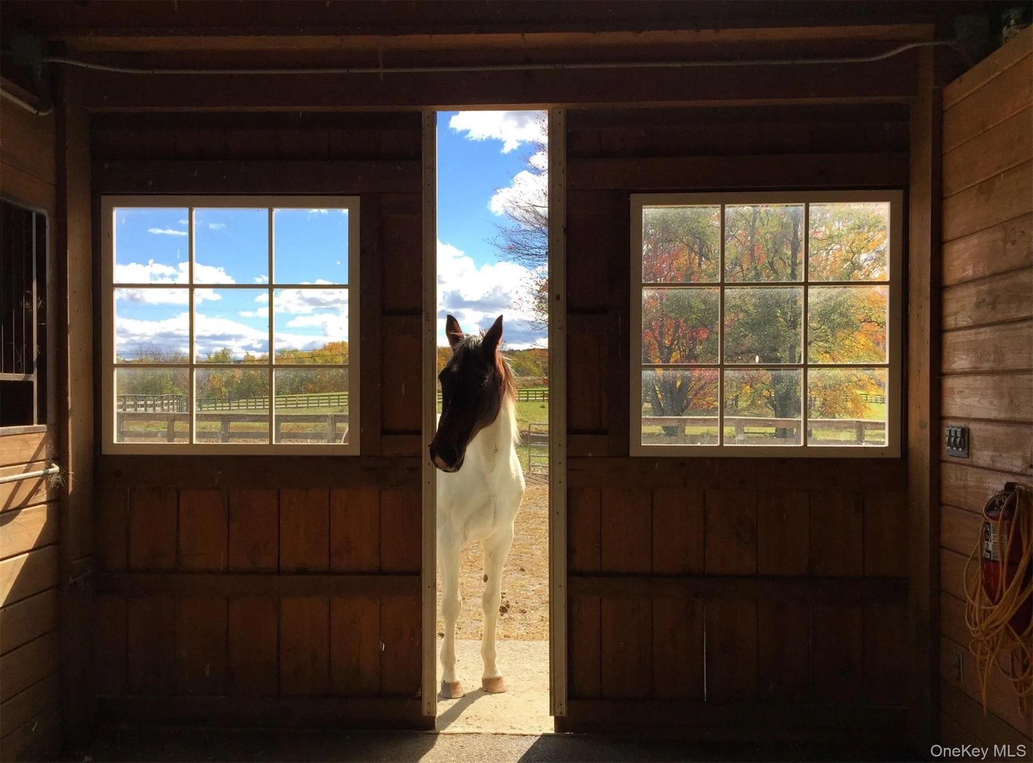 Doorway with wooden walls Doorway with wooden walls