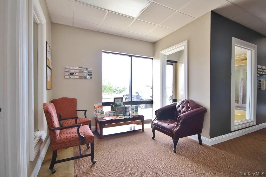 Sitting area featuring a drop ceiling and carpet Sitting area featuring a drop ceiling and carpet