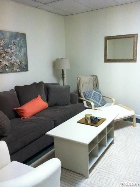 Living room with a drop ceiling and baseboards Living room with a drop ceiling and baseboards