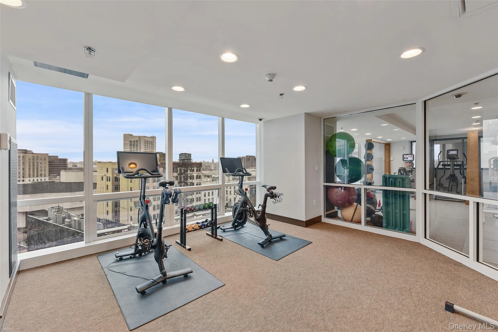 Workout area with expansive windows, carpet floors, and recessed lighting Workout area with expansive windows, carpet floors, and recessed lighting