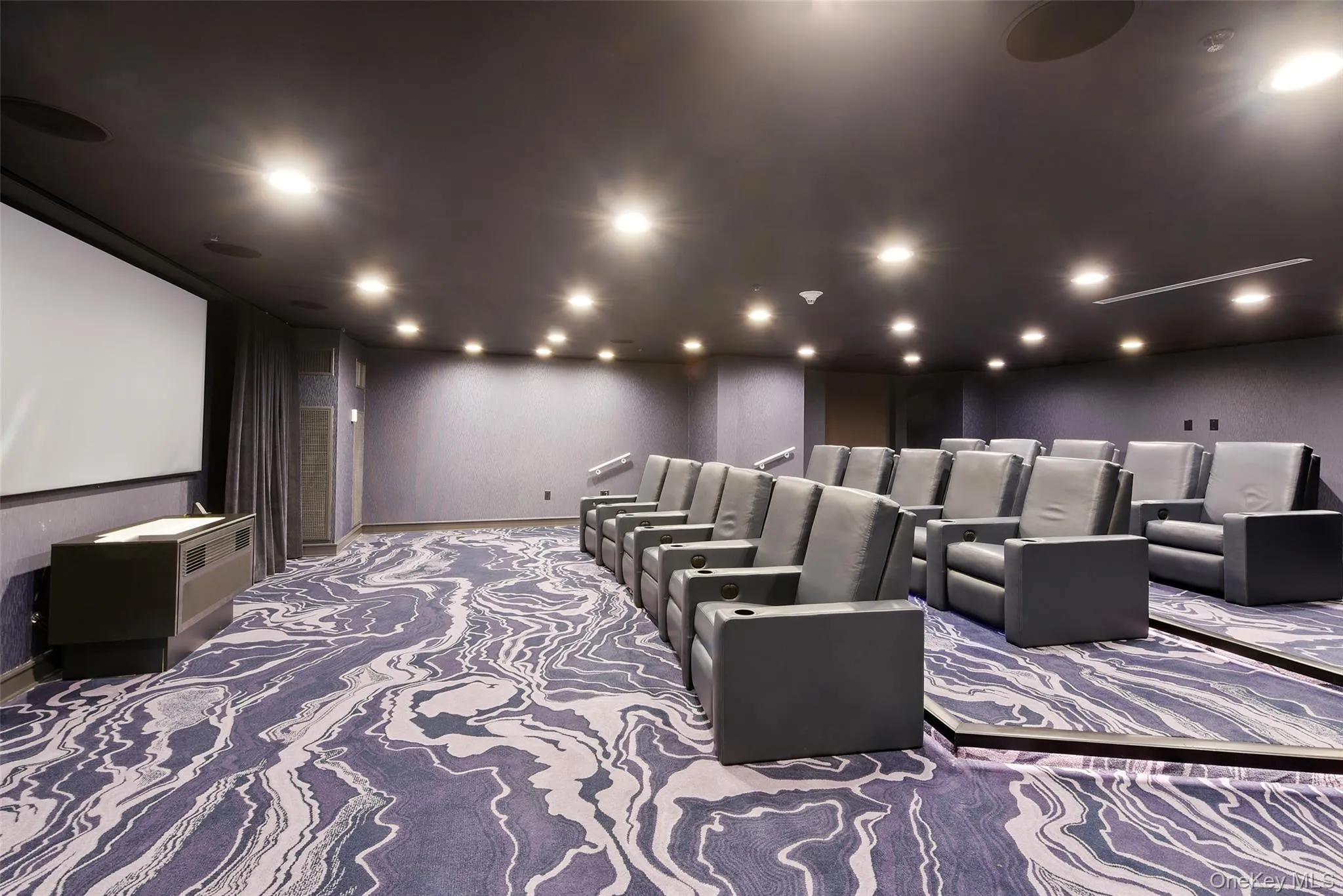 Carpeted cinema room with a textured wall and recessed lighting Carpeted cinema room with a textured wall and recessed lighting