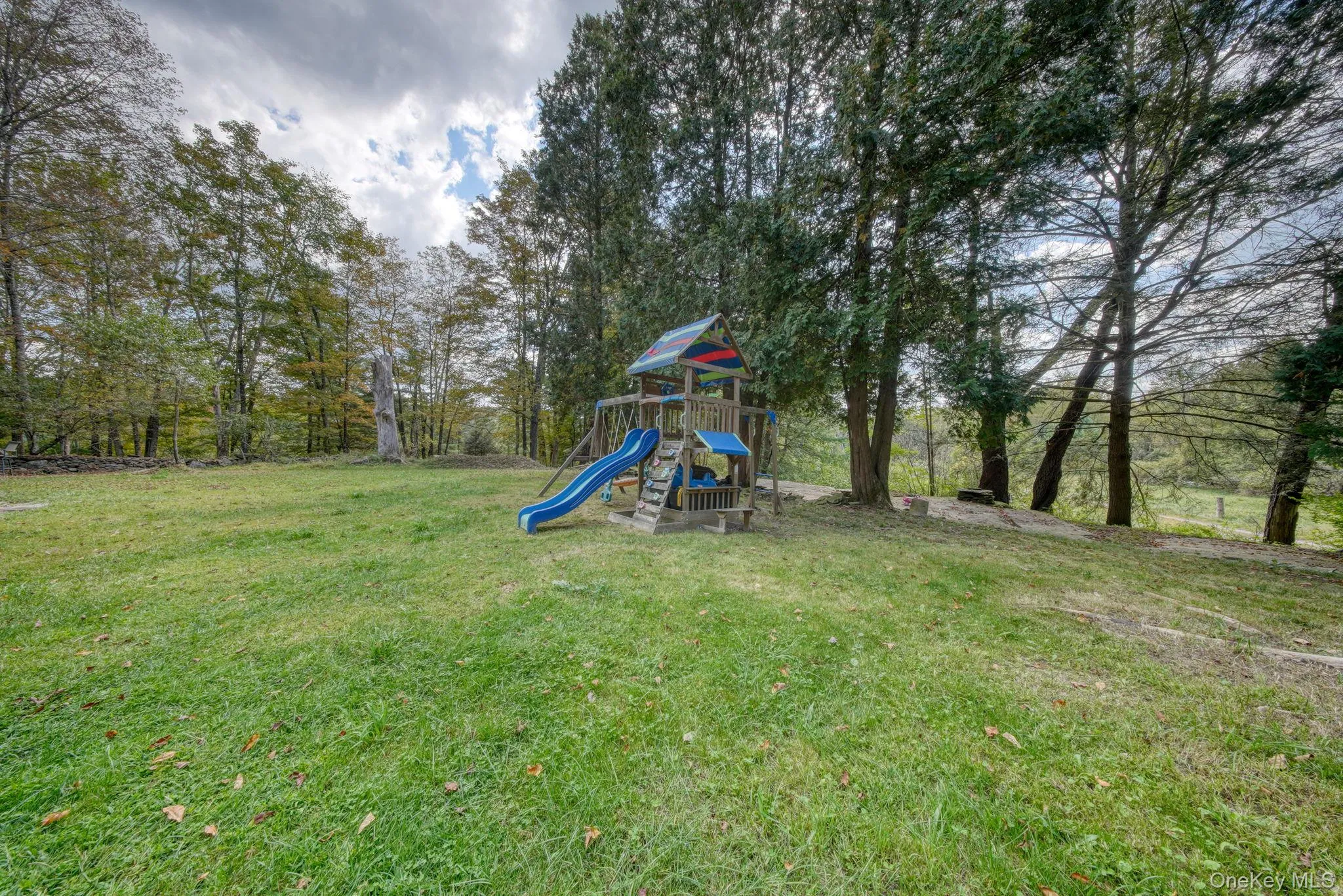 View of playground featuring a yard and view of wooded area View of playground featuring a yard and view of wooded area