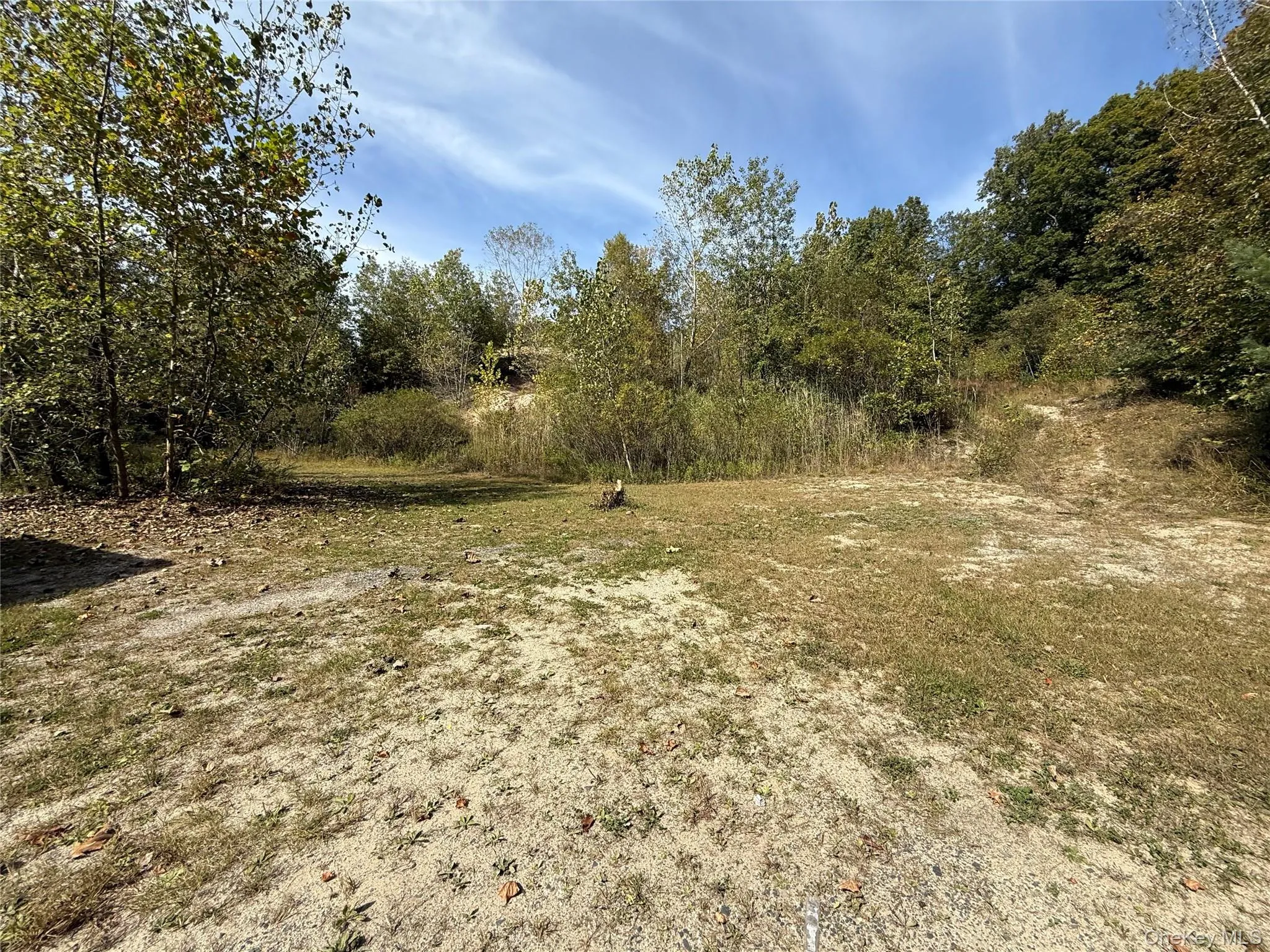 View of undeveloped land View of undeveloped land