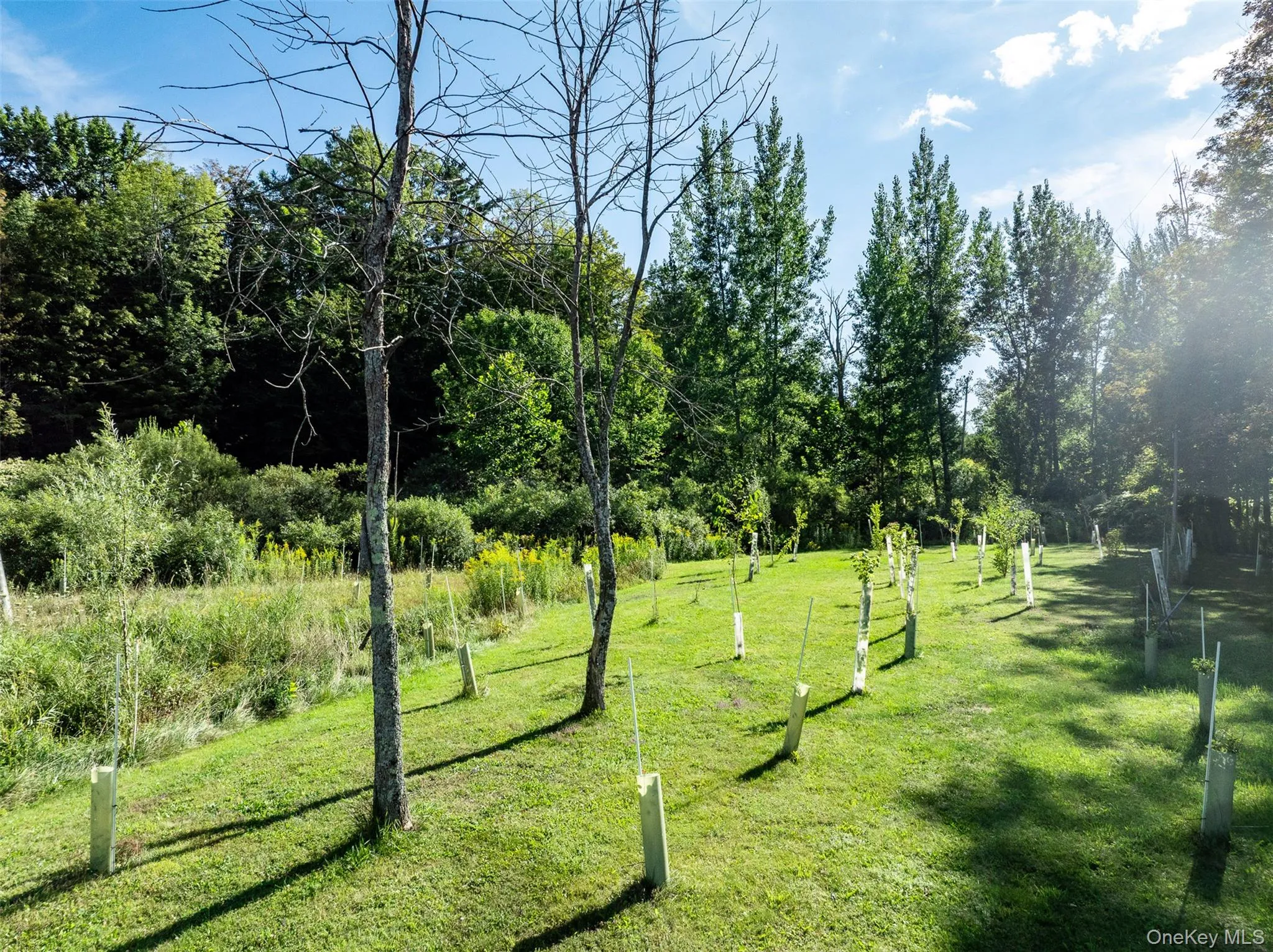View of home's community featuring a lawn, a view of countryside, and a view of trees View of home's community featuring a lawn, a view of countryside, and a view of trees