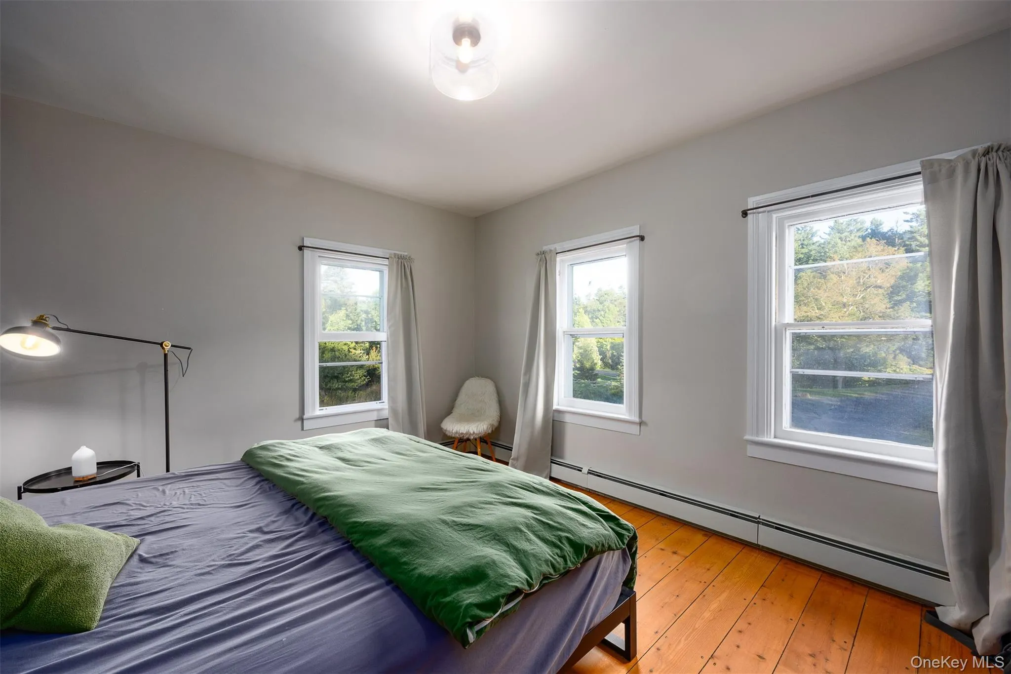 Bedroom with baseboard heating and light wood finished floors Bedroom with baseboard heating and light wood finished floors