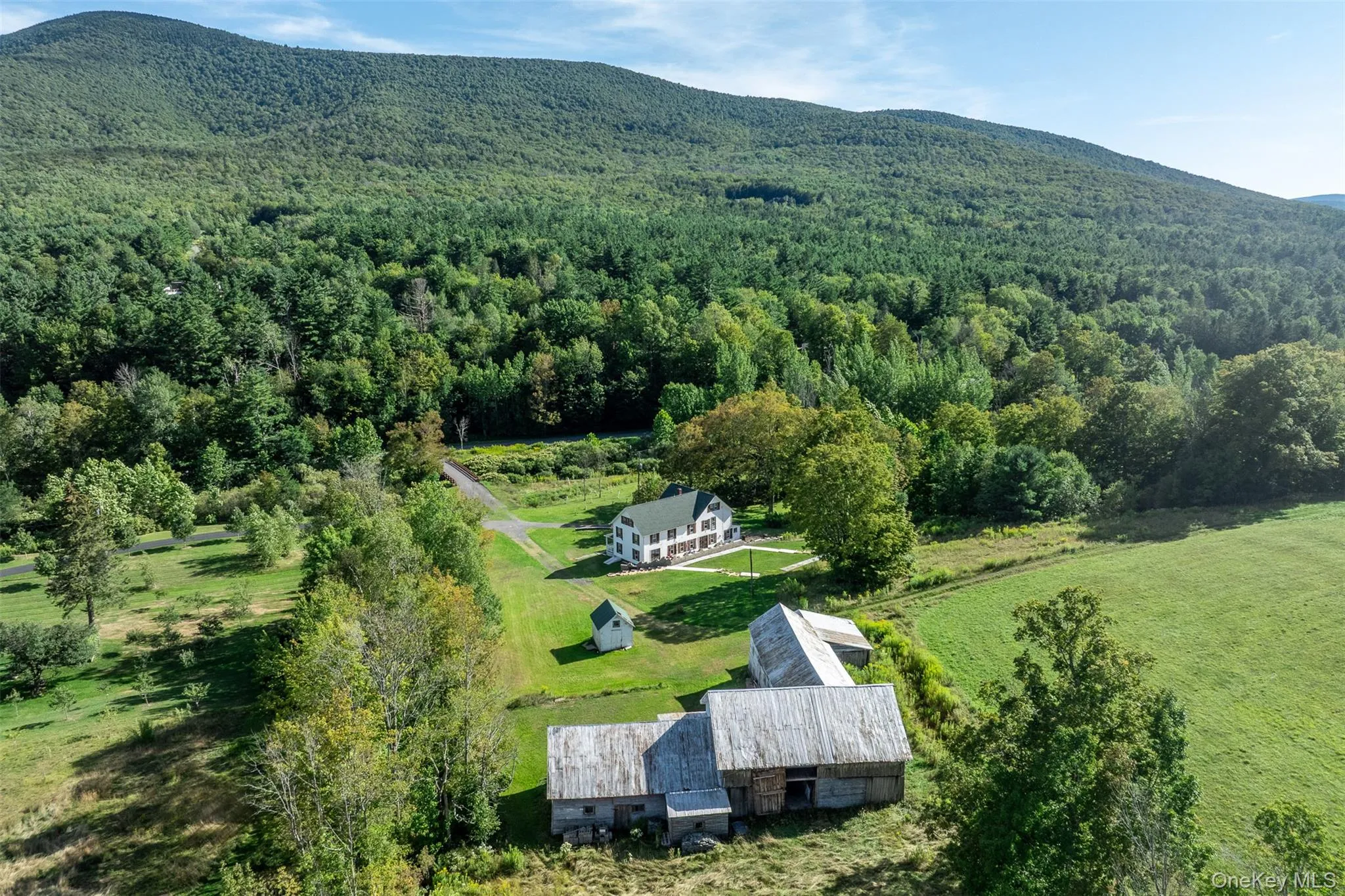 View from above of property with a forest and a mountainous background View from above of property with a forest and a mountainous background