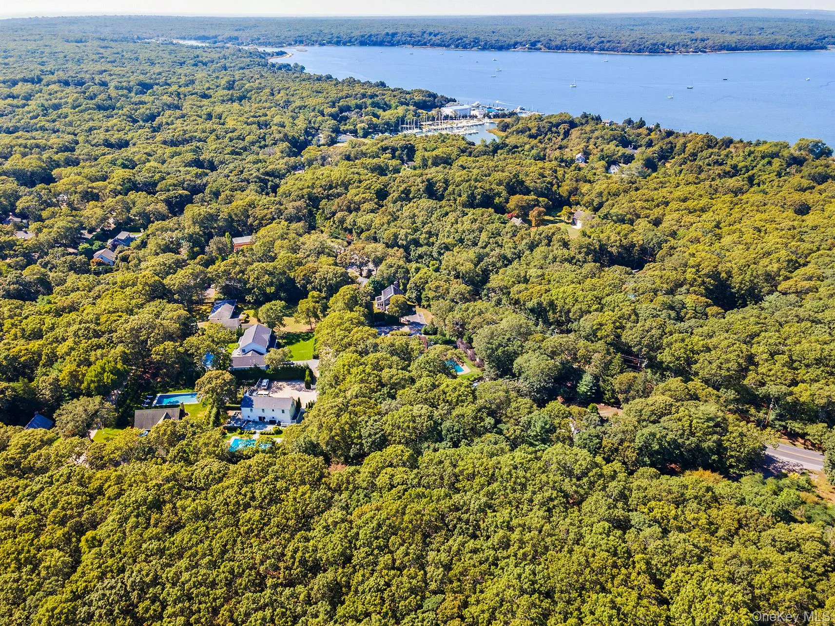 Drone / aerial view of a heavily wooded area and a large body of water Drone / aerial view of a heavily wooded area and a large body of water