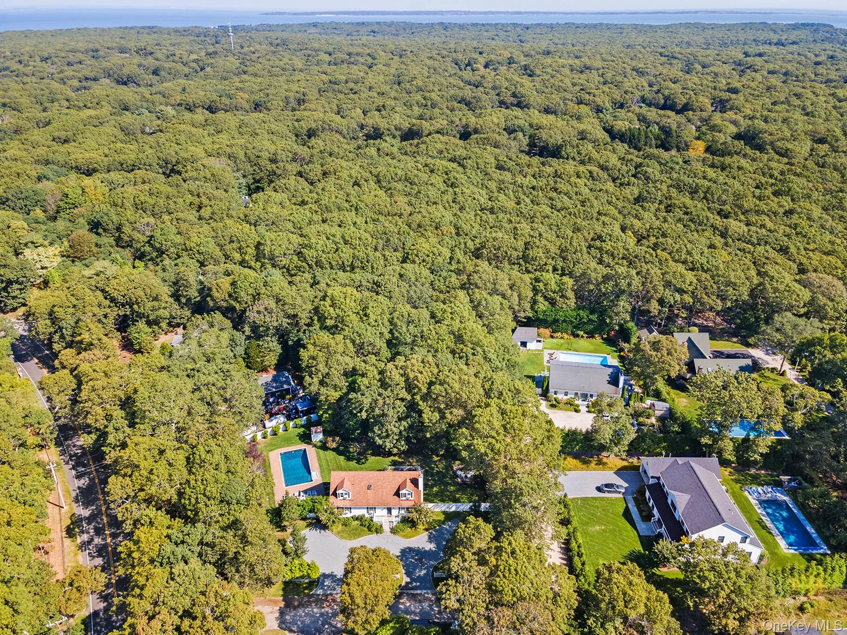 Aerial view of property's location featuring a forest Aerial view of property's location featuring a forest