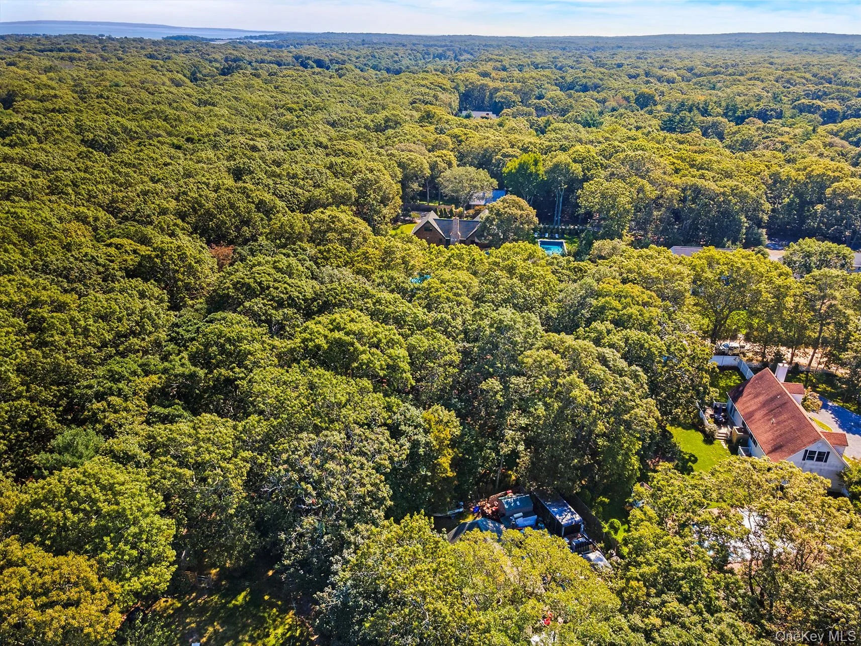 Aerial view of a forest Aerial view of a forest