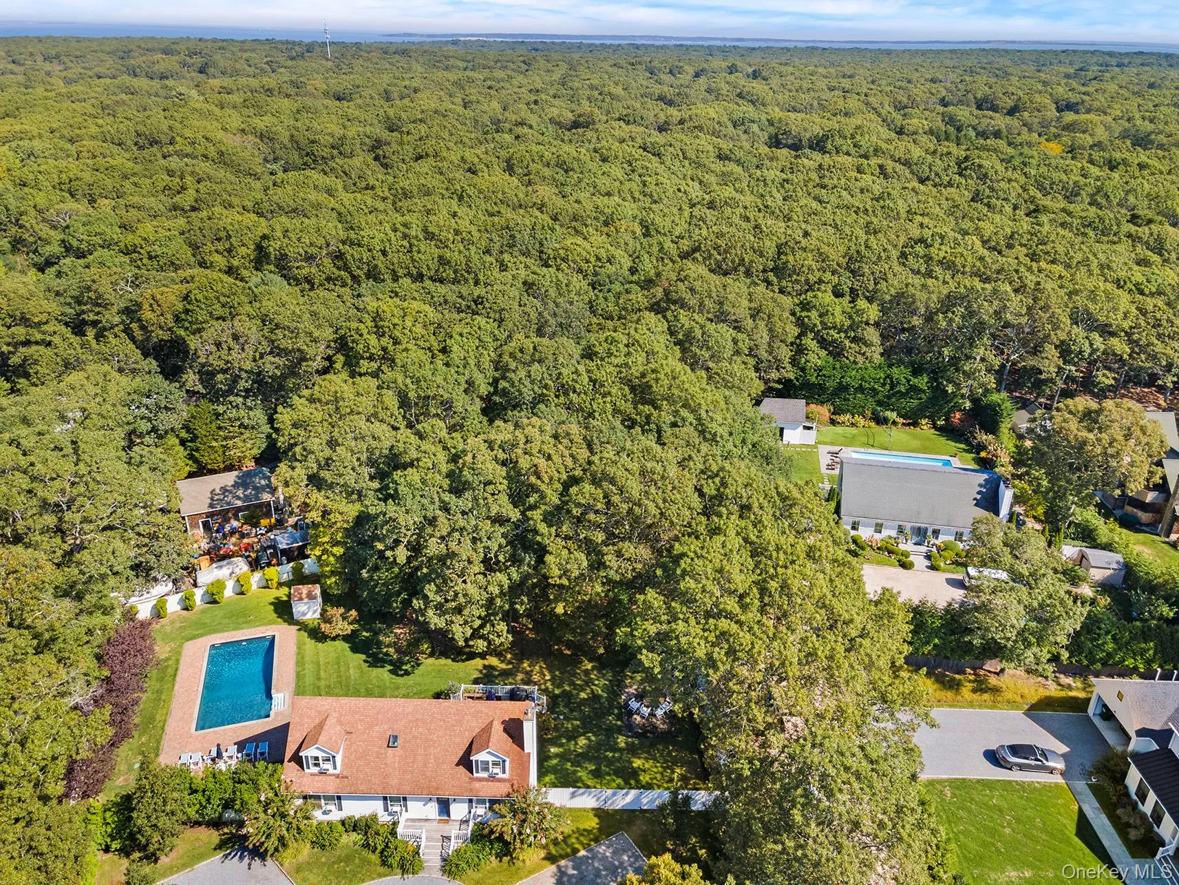 Drone / aerial view of a forest Drone / aerial view of a forest