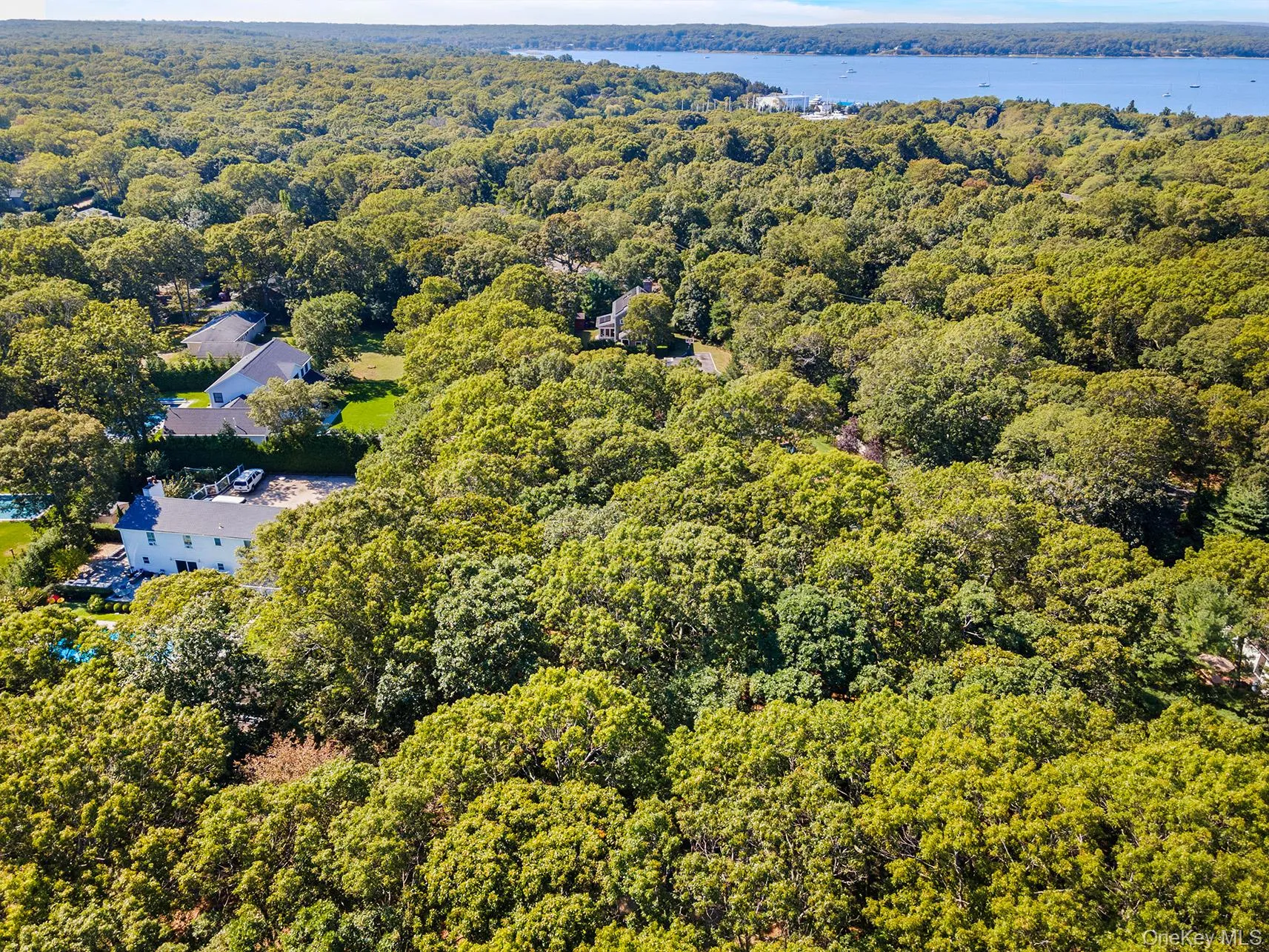 Drone / aerial view of a heavily wooded area and a large body of water Drone / aerial view of a heavily wooded area and a large body of water