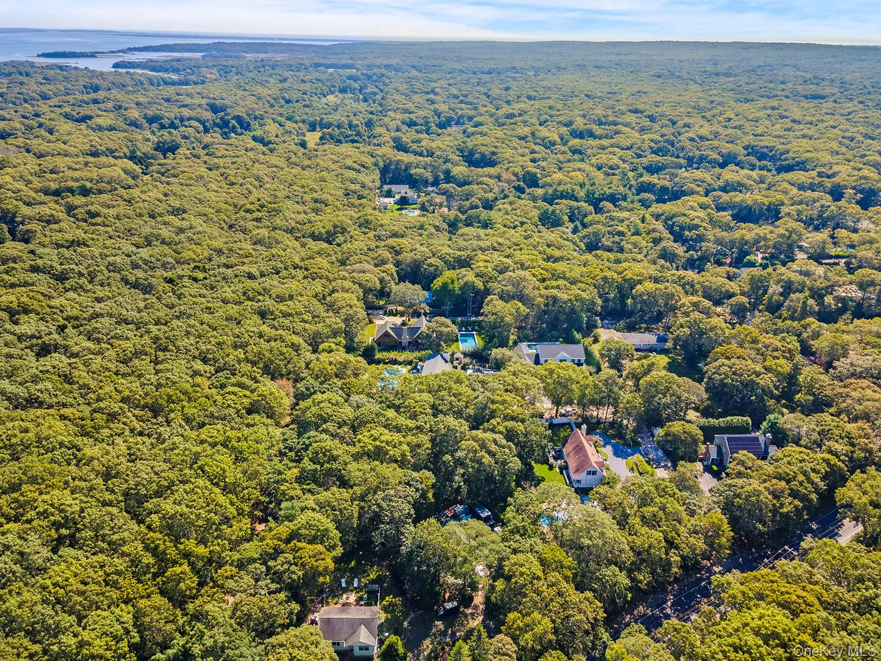 Drone / aerial view of a forest Drone / aerial view of a forest