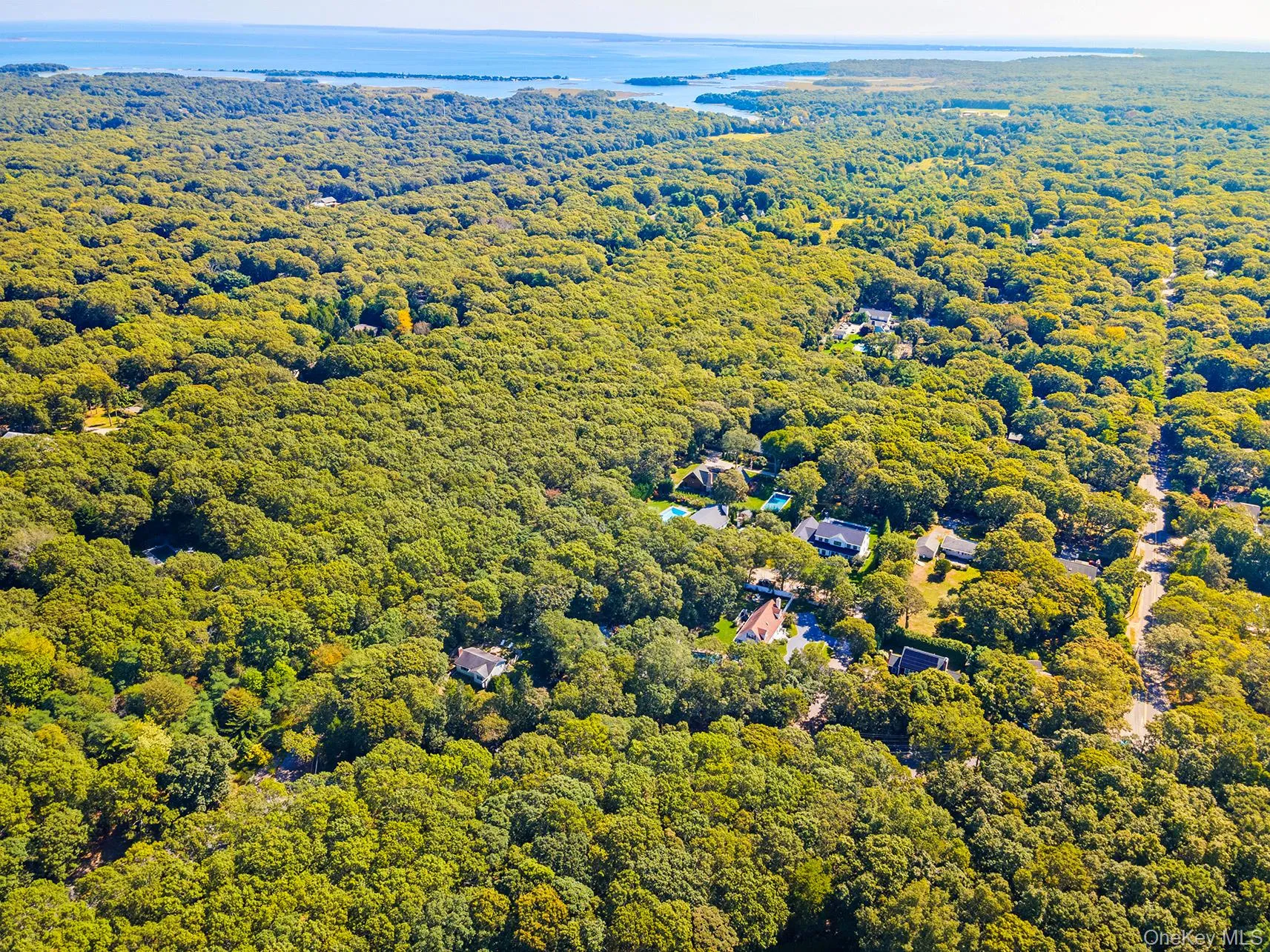 Drone / aerial view of a heavily wooded area Drone / aerial view of a heavily wooded area