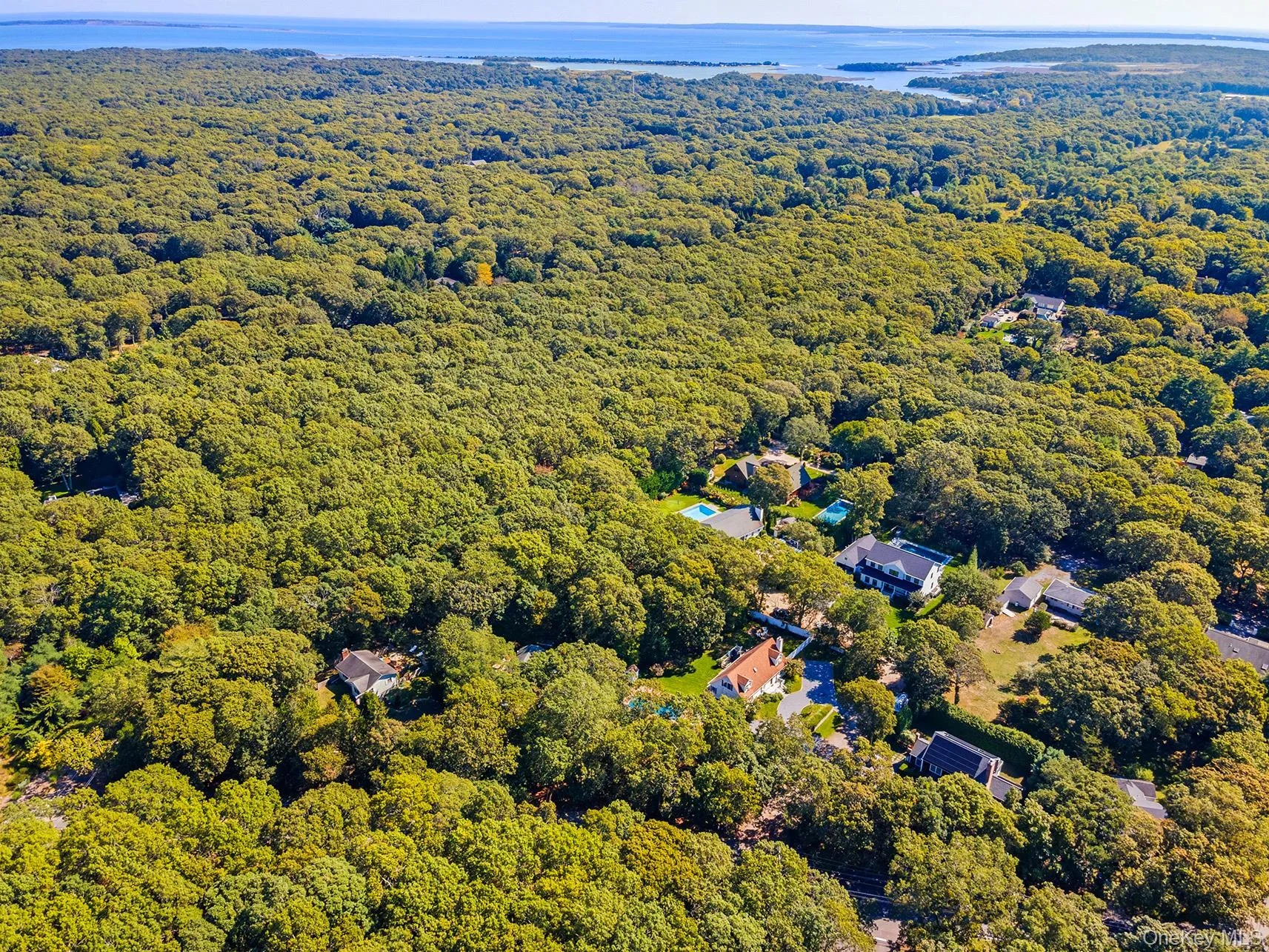 Drone / aerial view of a large body of water and a forest Drone / aerial view of a large body of water and a forest
