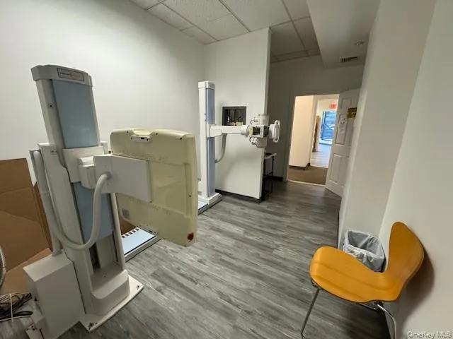 Office featuring a drop ceiling and wood finished floors Office featuring a drop ceiling and wood finished floors