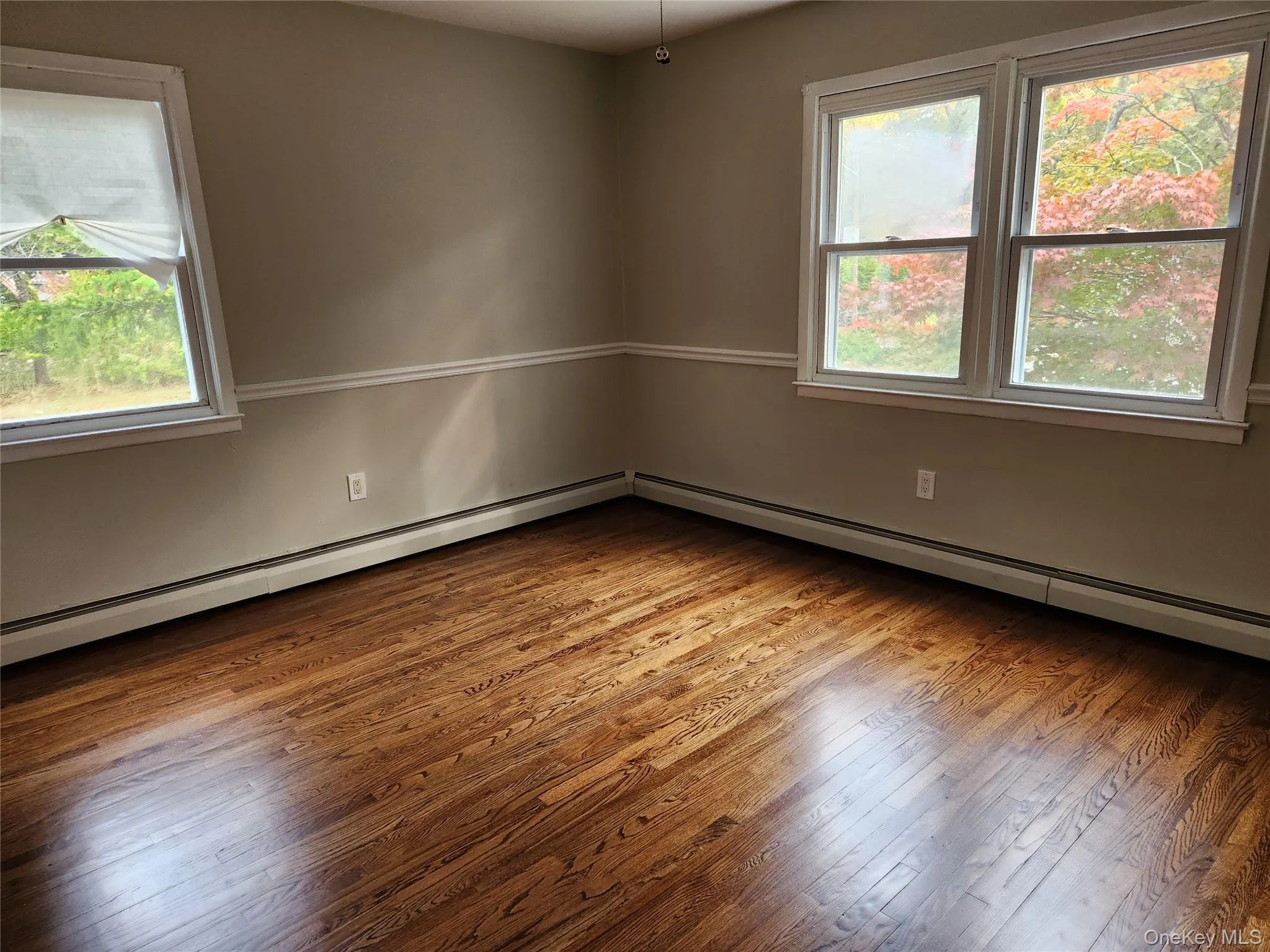 Hardwood Flooring, large closet and many windows Hardwood Flooring, large closet and many windows
