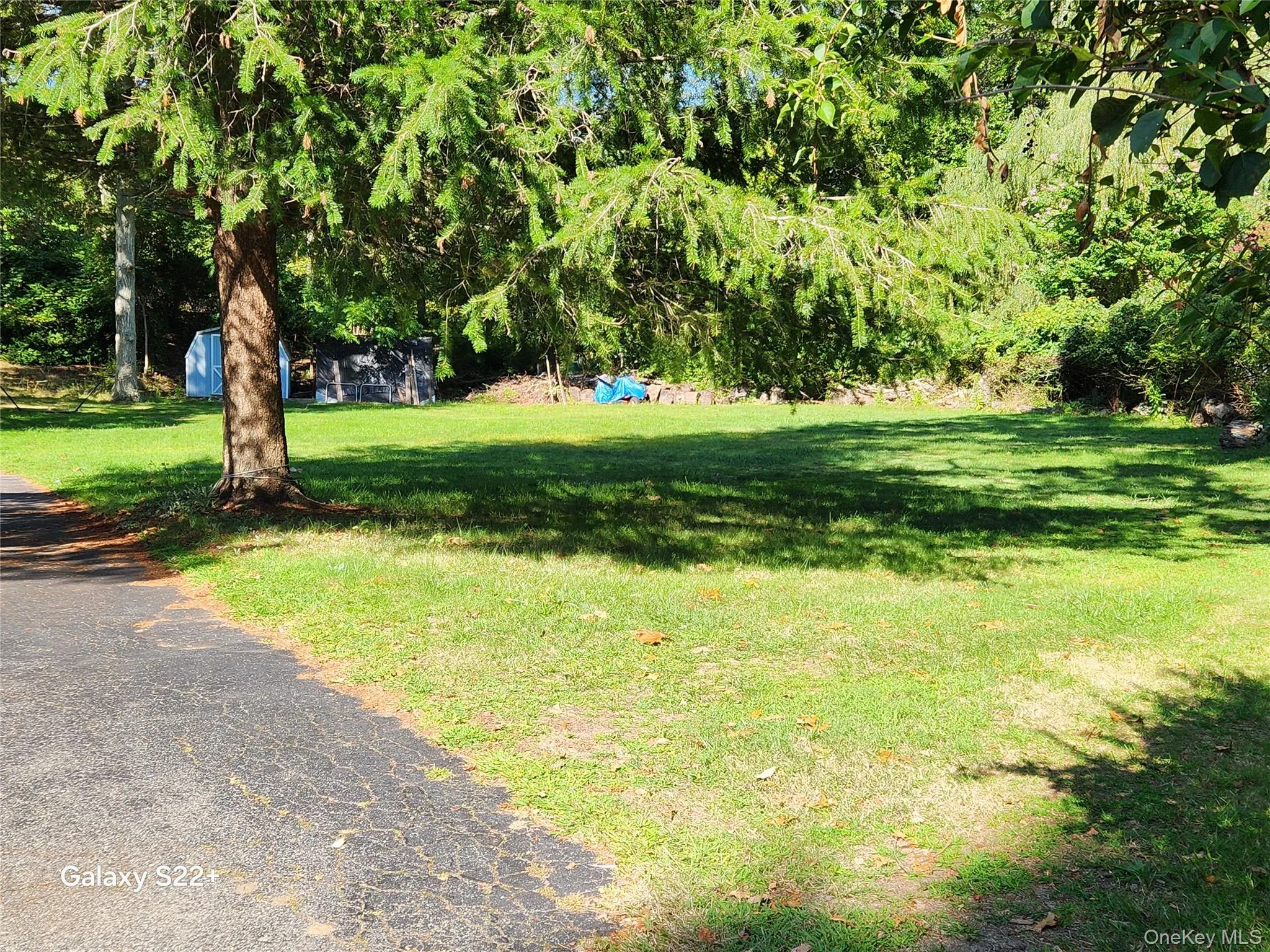 View of grassy side yard View of grassy side yard