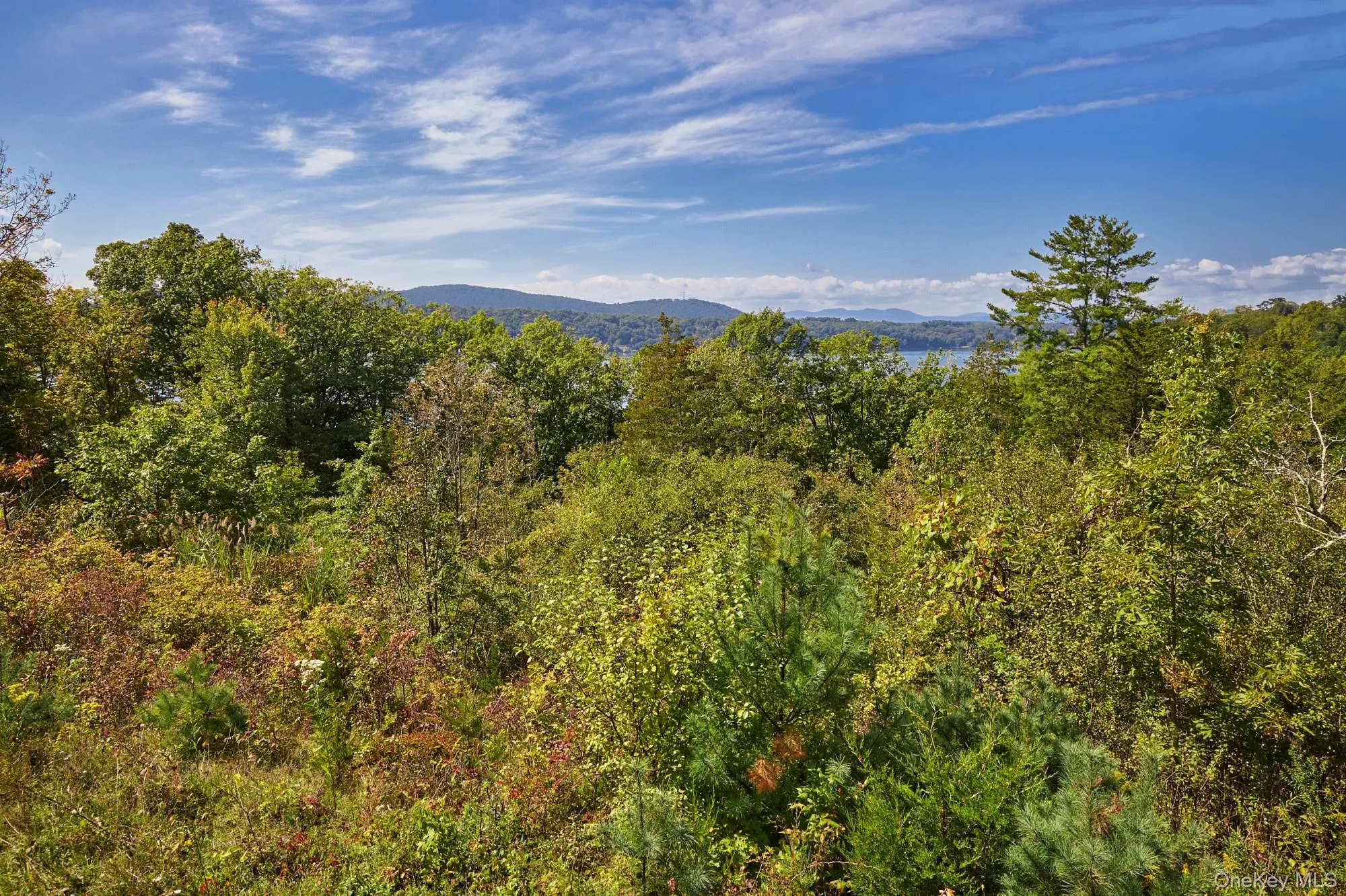 View of mountain background featuring a forest View of mountain background featuring a forest