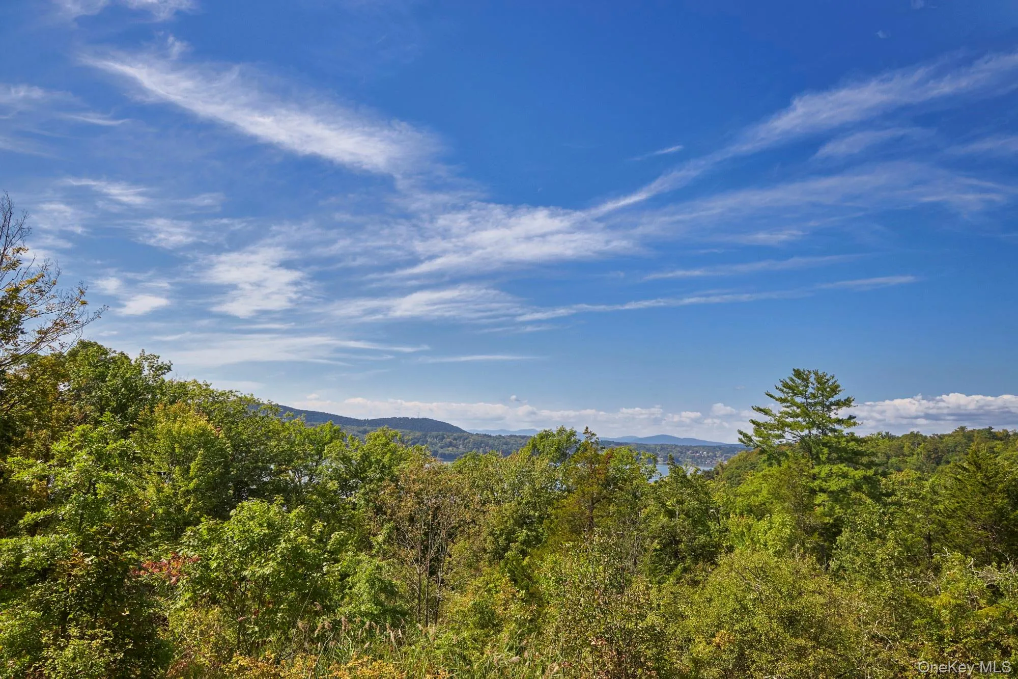 View of mountain backdrop featuring a heavily wooded area View of mountain backdrop featuring a heavily wooded area