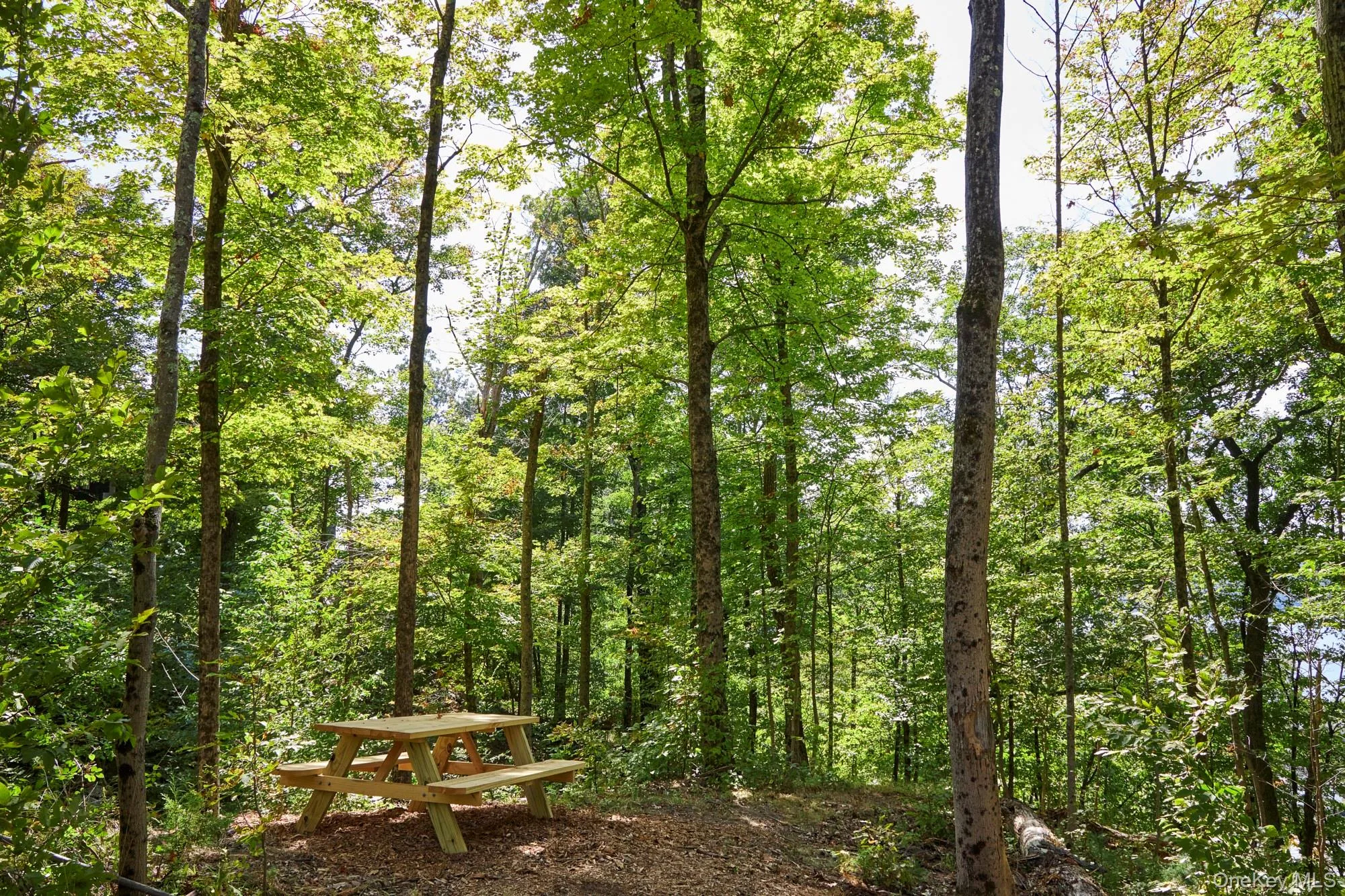 Mill Road, Rhinebeck, NY, ,Land,For Rent,Mill,0,912345 Mill Road, Rhinebeck, NY, ,Land,For Rent,Mill,0,912345