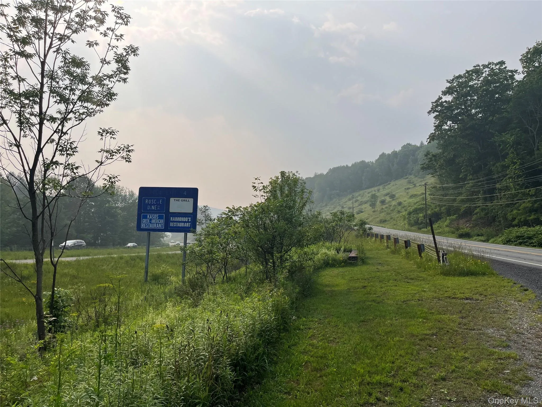 View of asphalt road where the 1/3 acre is and access to the culvert View of asphalt road where the 1/3 acre is and access to the culvert
