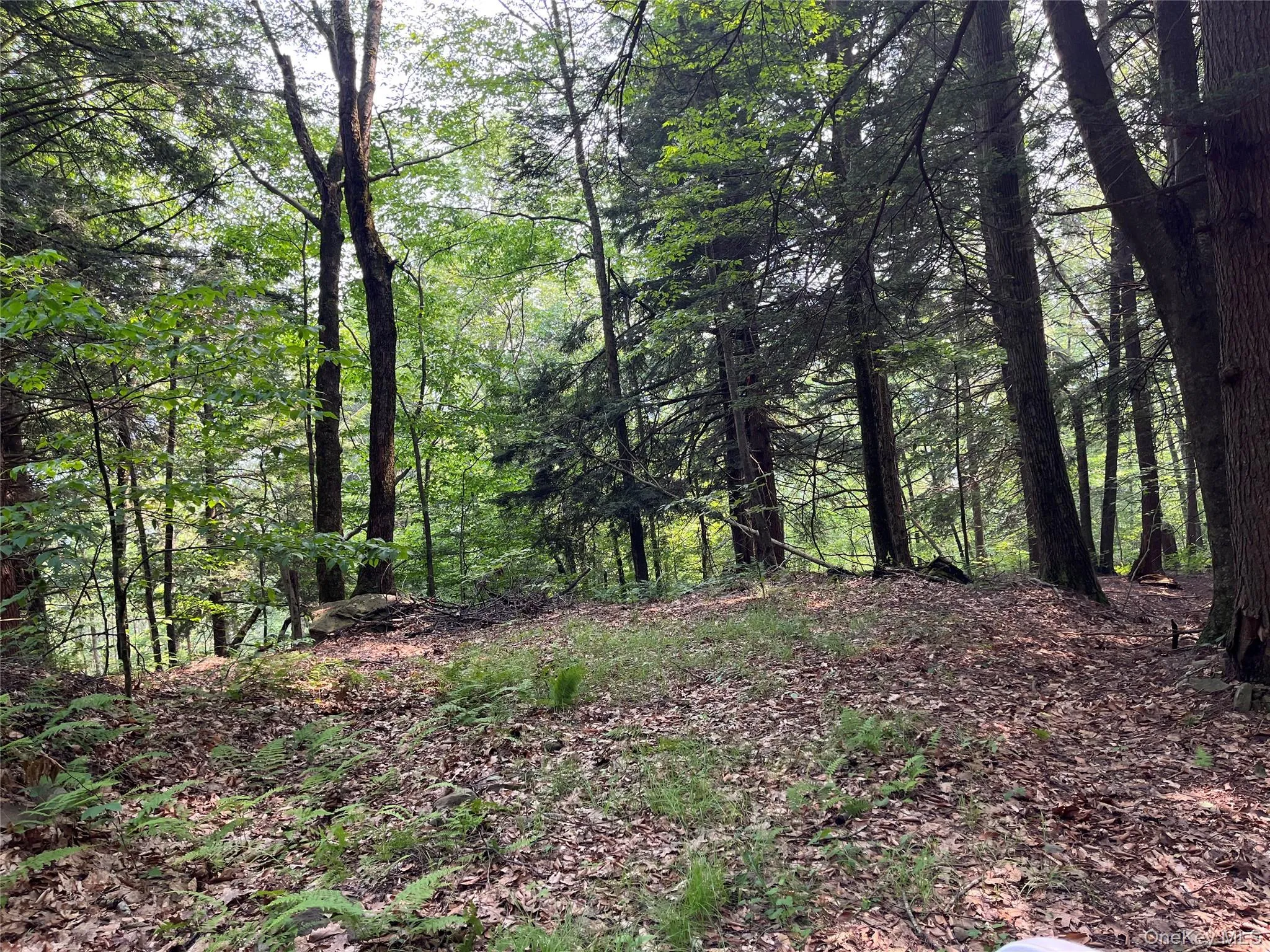 View of wooded area, cleared area for camper, shed or garage View of wooded area, cleared area for camper, shed or garage