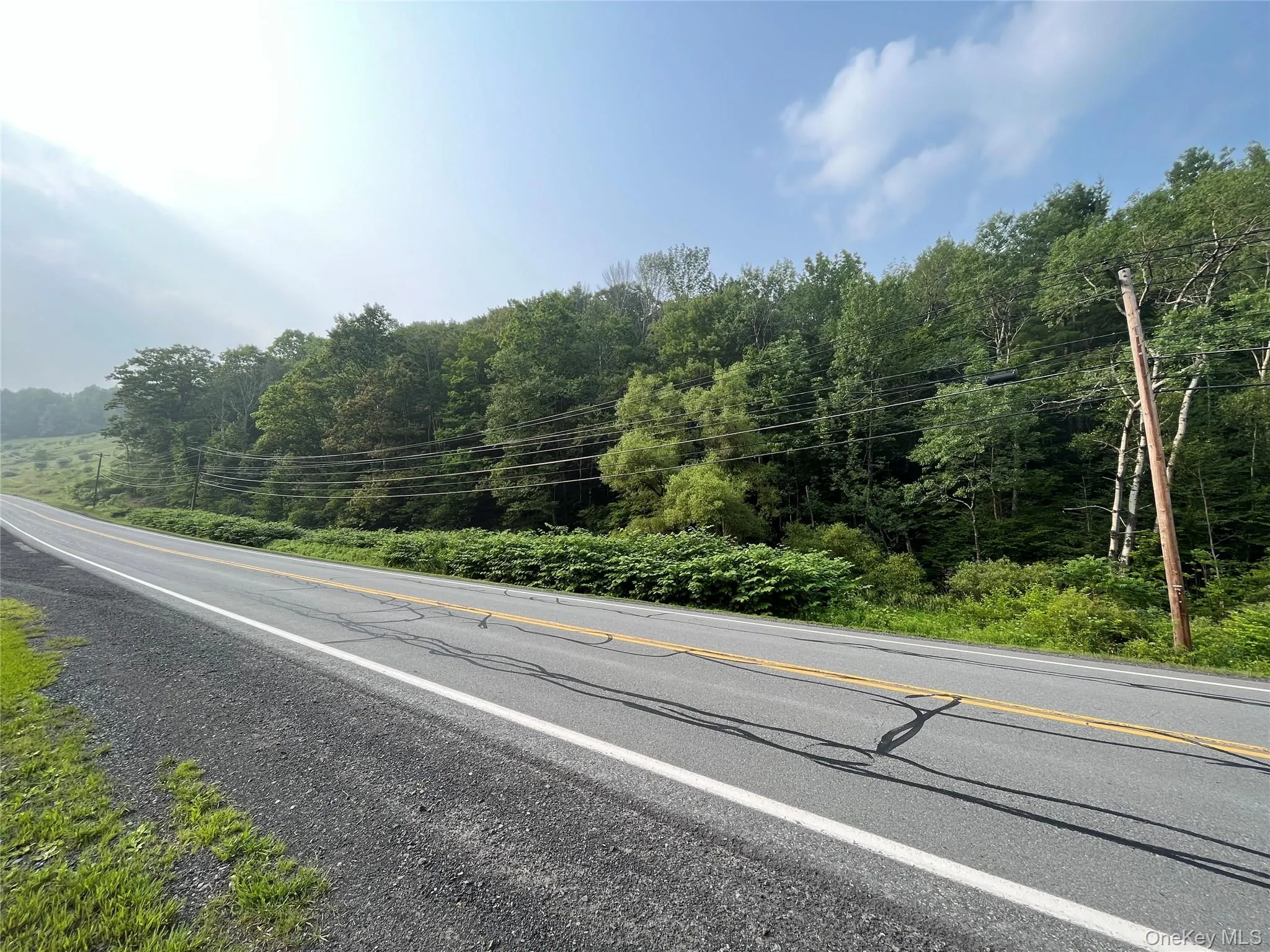 View of asphalt street with a forest view, old 17 road frontage View of asphalt street with a forest view, old 17 road frontage