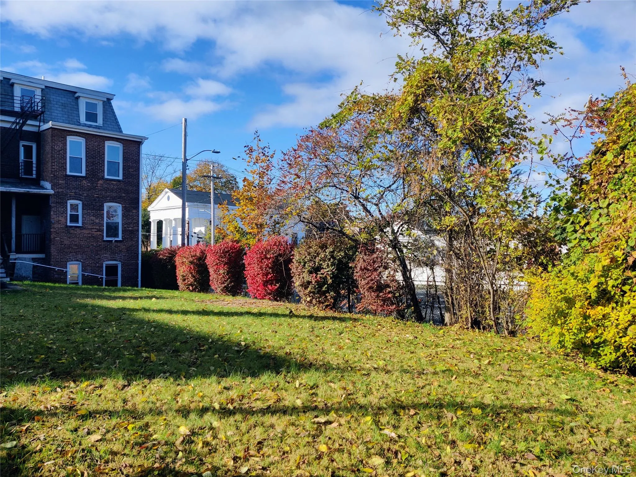 View of green lawn View of green lawn