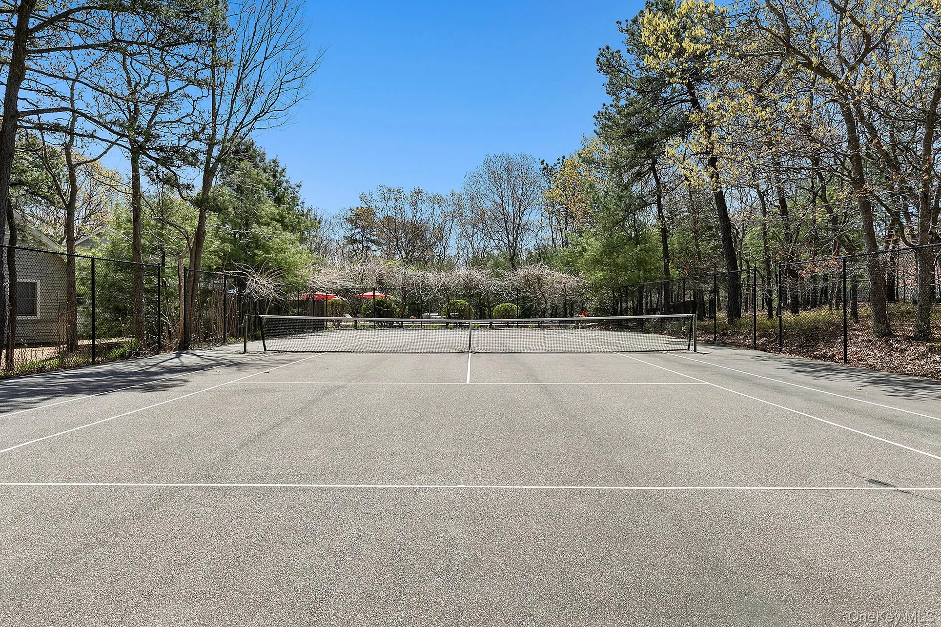 View of tennis court View of tennis court