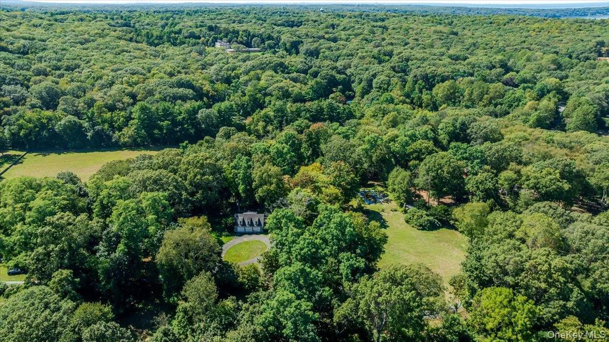 View of property location featuring a heavily wooded area View of property location featuring a heavily wooded area