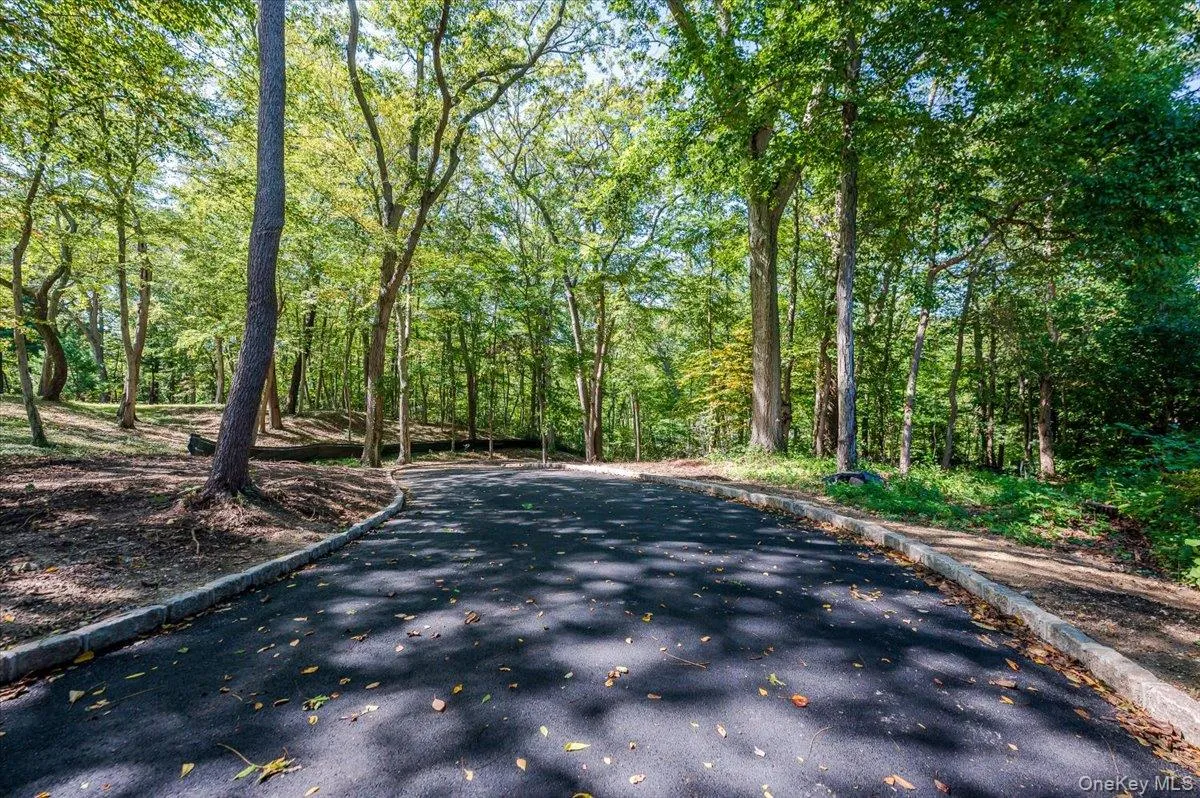 View of asphalt road with curbs and a forest view View of asphalt road with curbs and a forest view